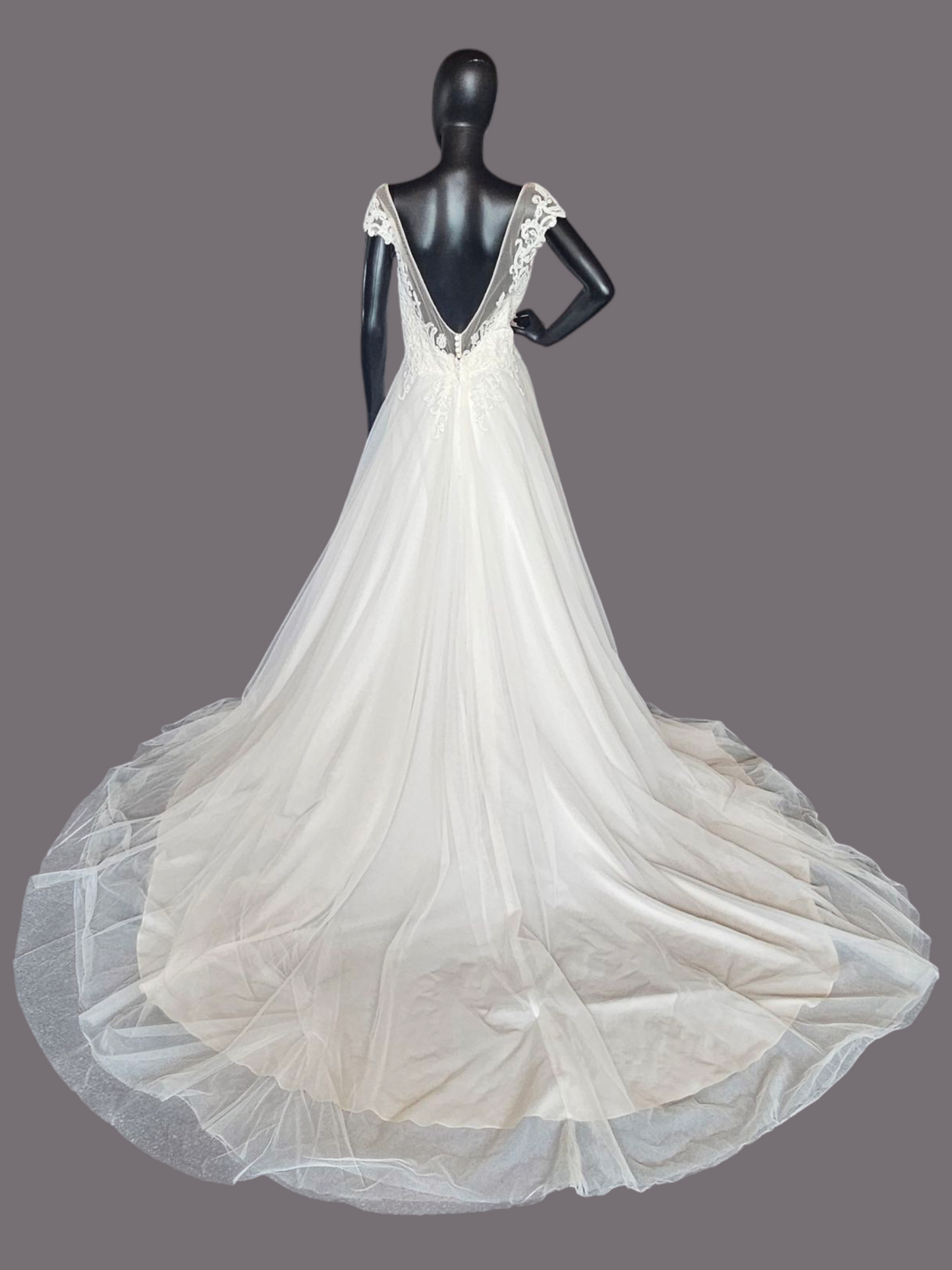 Ivory V-Neck Illusion Cap Sleeve A-Line Wedding Gown - Evelyn Bridal