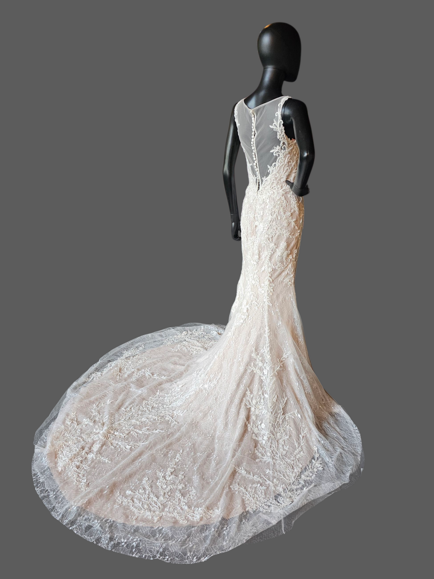 Ivory/Latte Beaded Lace Illusion Back Plunge Fit and Flare Wedding Gown - Da Vinci