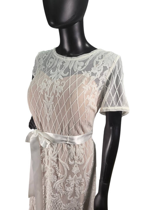 Ivory/Nude Mesh Sequin A-Line Kick Belt Inclusion Illusion Back & Top  - R & M Richards