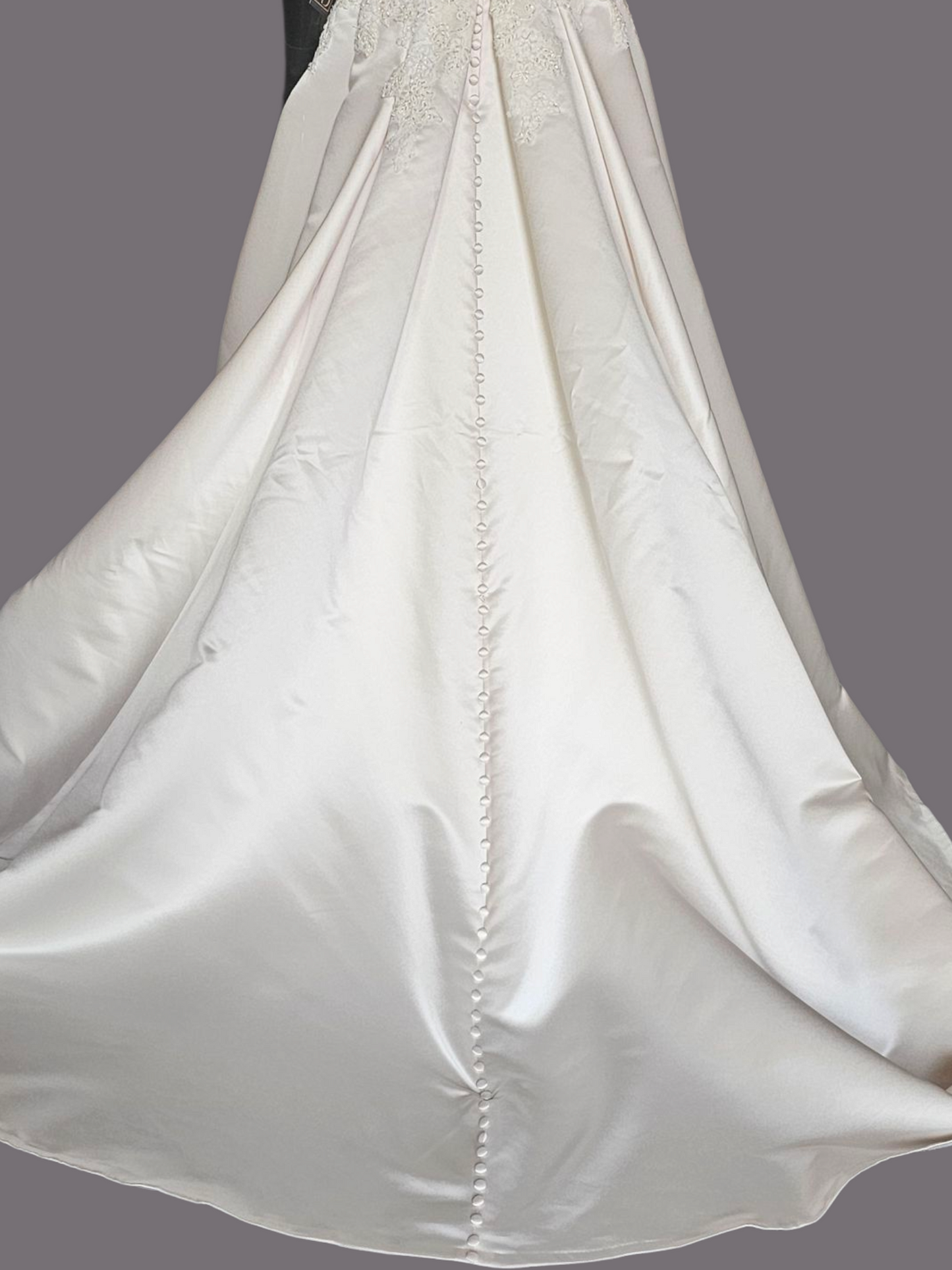 Champagne Satin Lace Illusion Plunge Bodice Open Back - Beloved