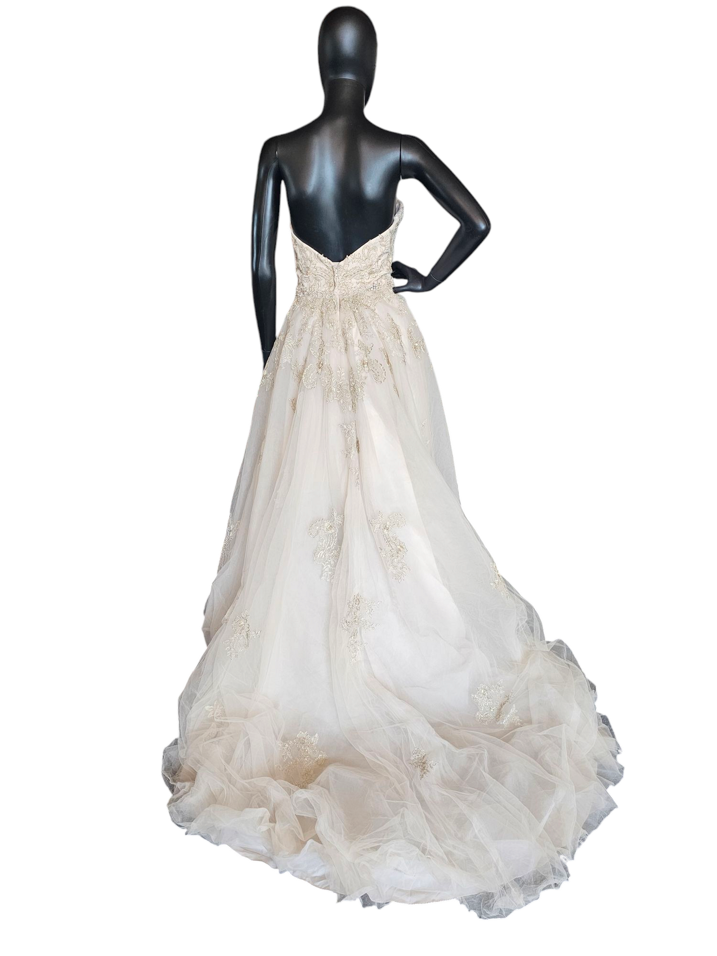 Champagne/Gold Embroidered High/Low Wedding Gown - Private Label by G