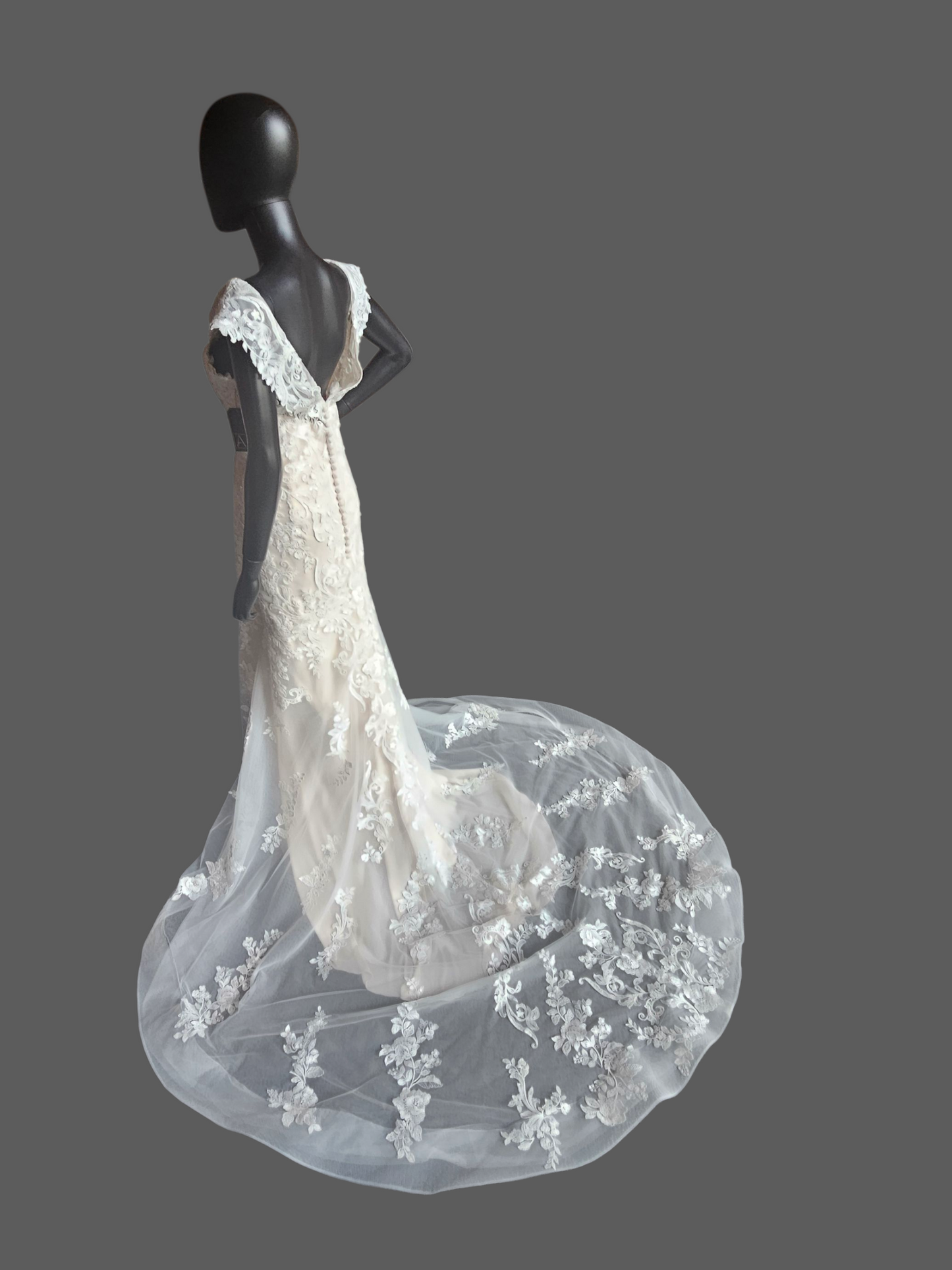 Ivory/Champagne Lace Off Shoulder/Portrait Collar Wedding Gown - Mori Lee