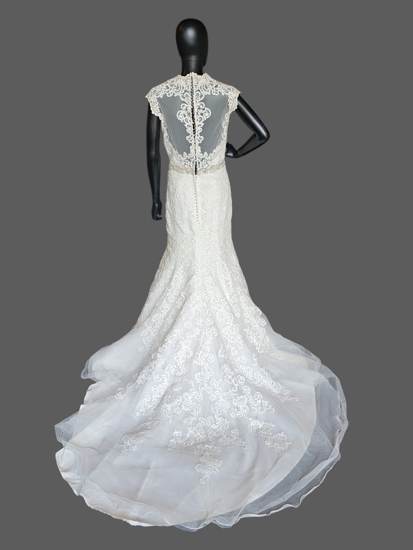 Ivory Lace Queen Anne Cap Sleeve Fit/Flare Wedding Gown - Mori Lee