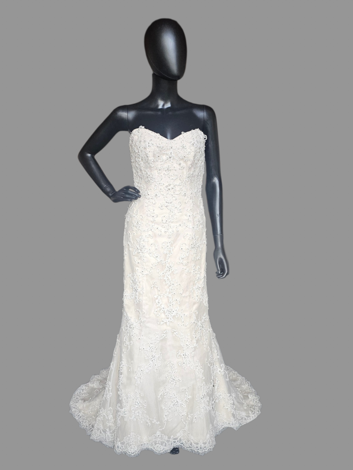 Ivory Lace Fit/Flare Sweetheart  Wedding Gown - Sottero & Midgley