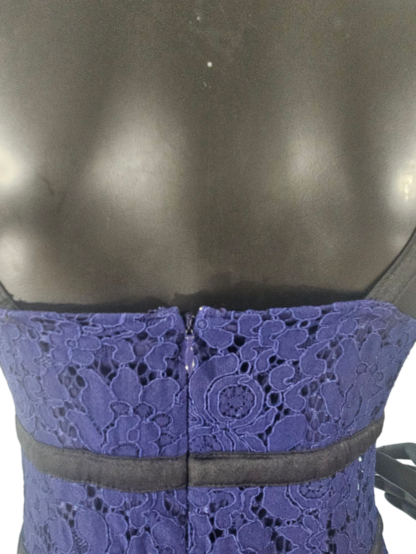 Blue Lace/Black Accent Sheath Dress - Express