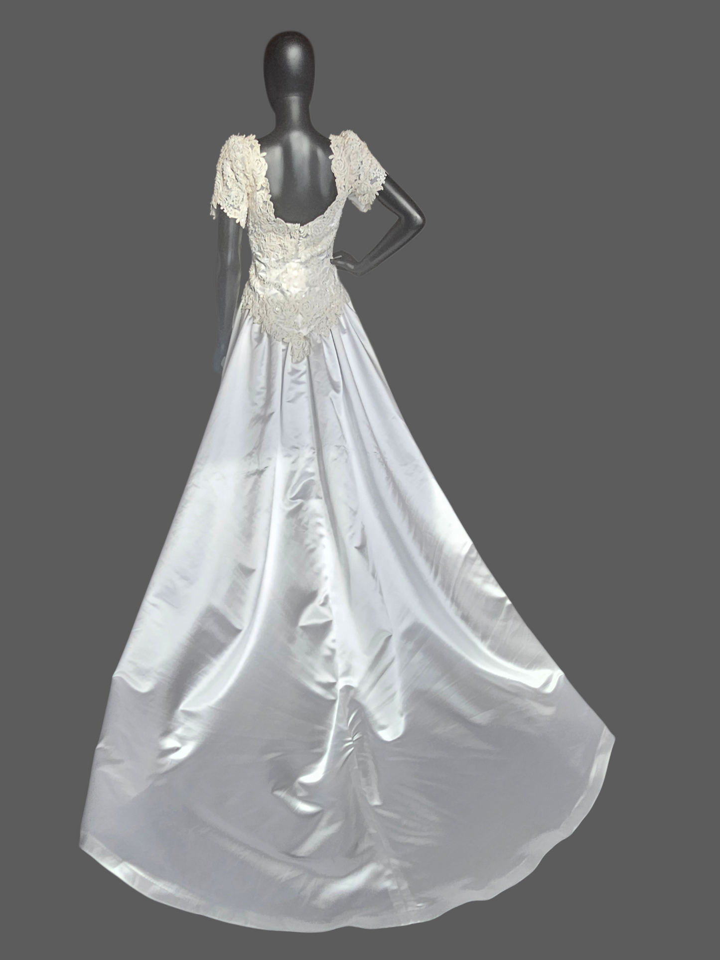 Vintage White Embroidered Cap Sleeve N-Neck Wedding Gown - Modest