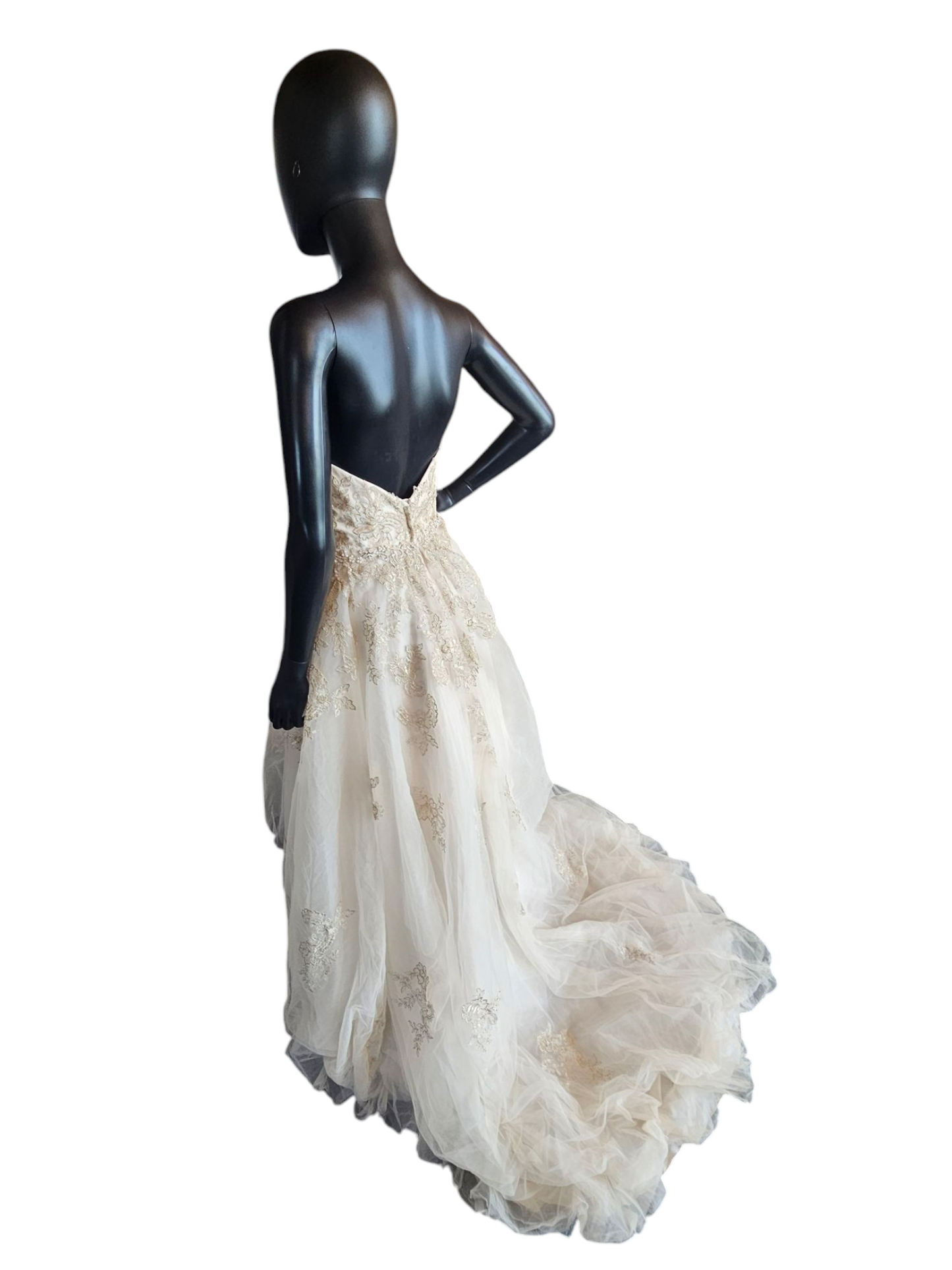 Champagne/Gold Embroidered High/Low Wedding Gown - Private Label by G