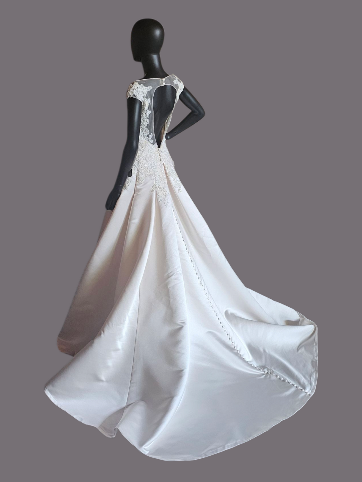 Champagne Satin Lace Illusion Plunge Bodice Open Back - Beloved