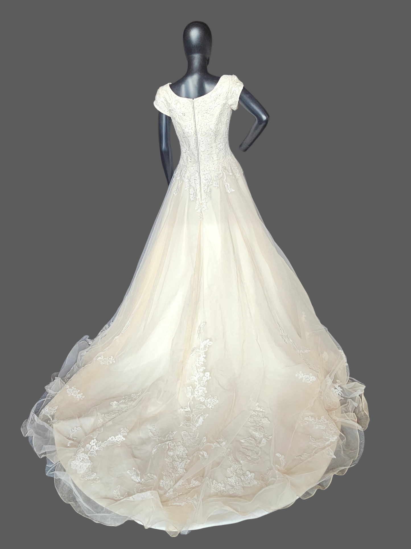 Champagne A-Line Cap Sleeve Floral Embroidered Wedding Gown - Bliss