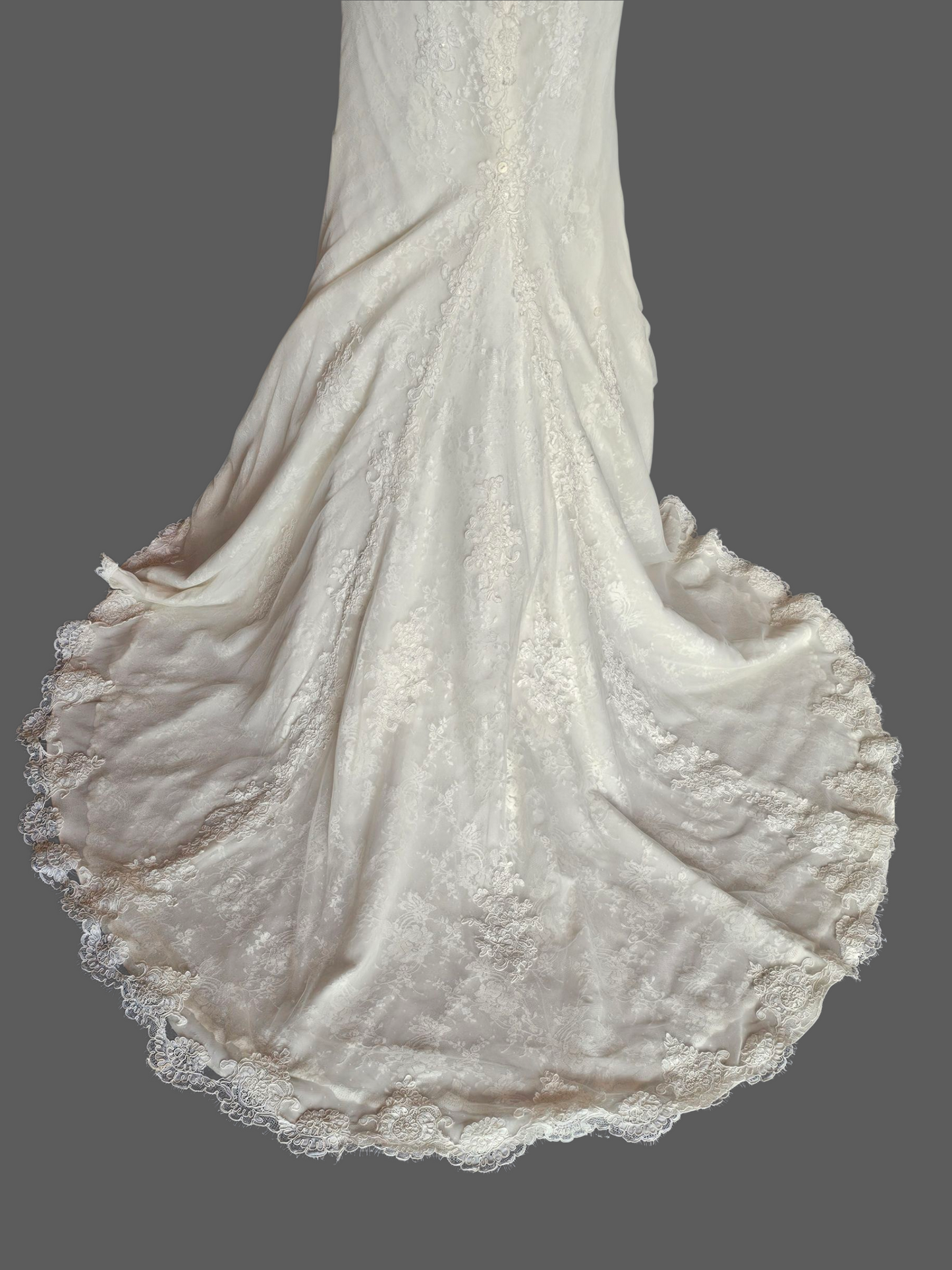 Dark Ivory Lace Fit/Flare V-Neck Wedding Gown - Pronovias