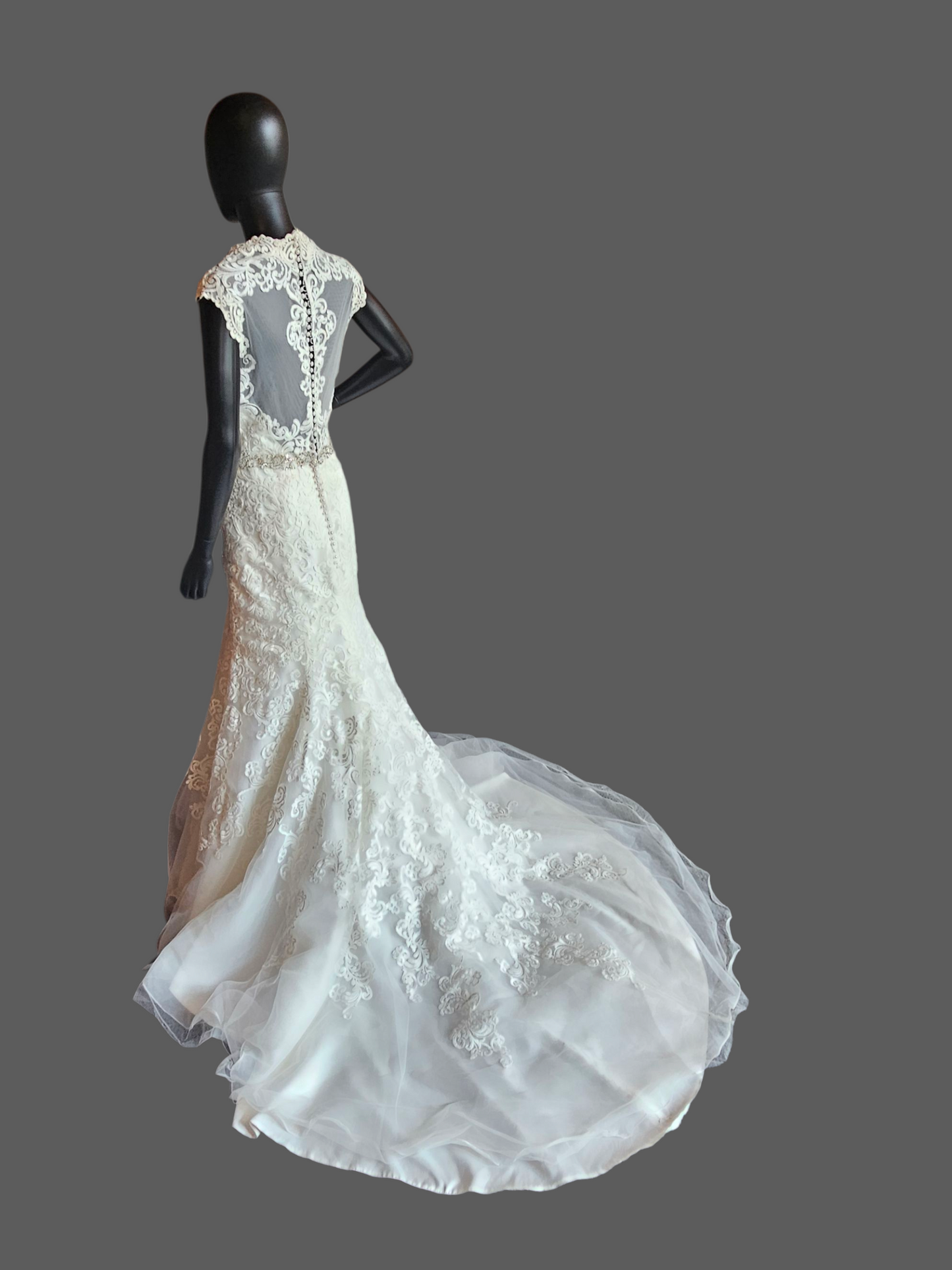 Ivory Lace Queen Anne Cap Sleeve Fit/Flare Wedding Gown - Mori Lee