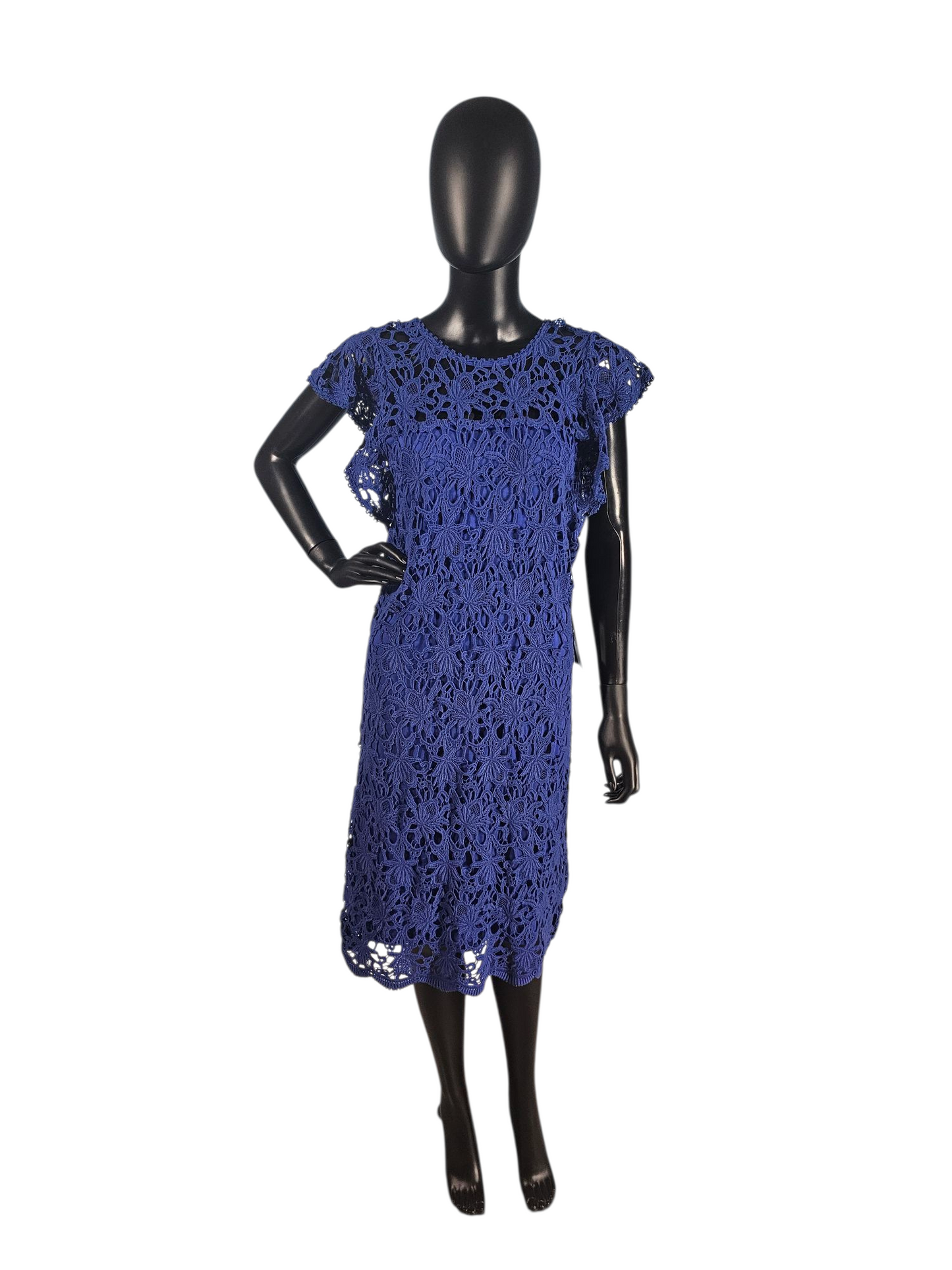 Royal Blue Cotton Lace Flutter Sleeve Mid Dress - NWT - Velvet by Graham & Spencer