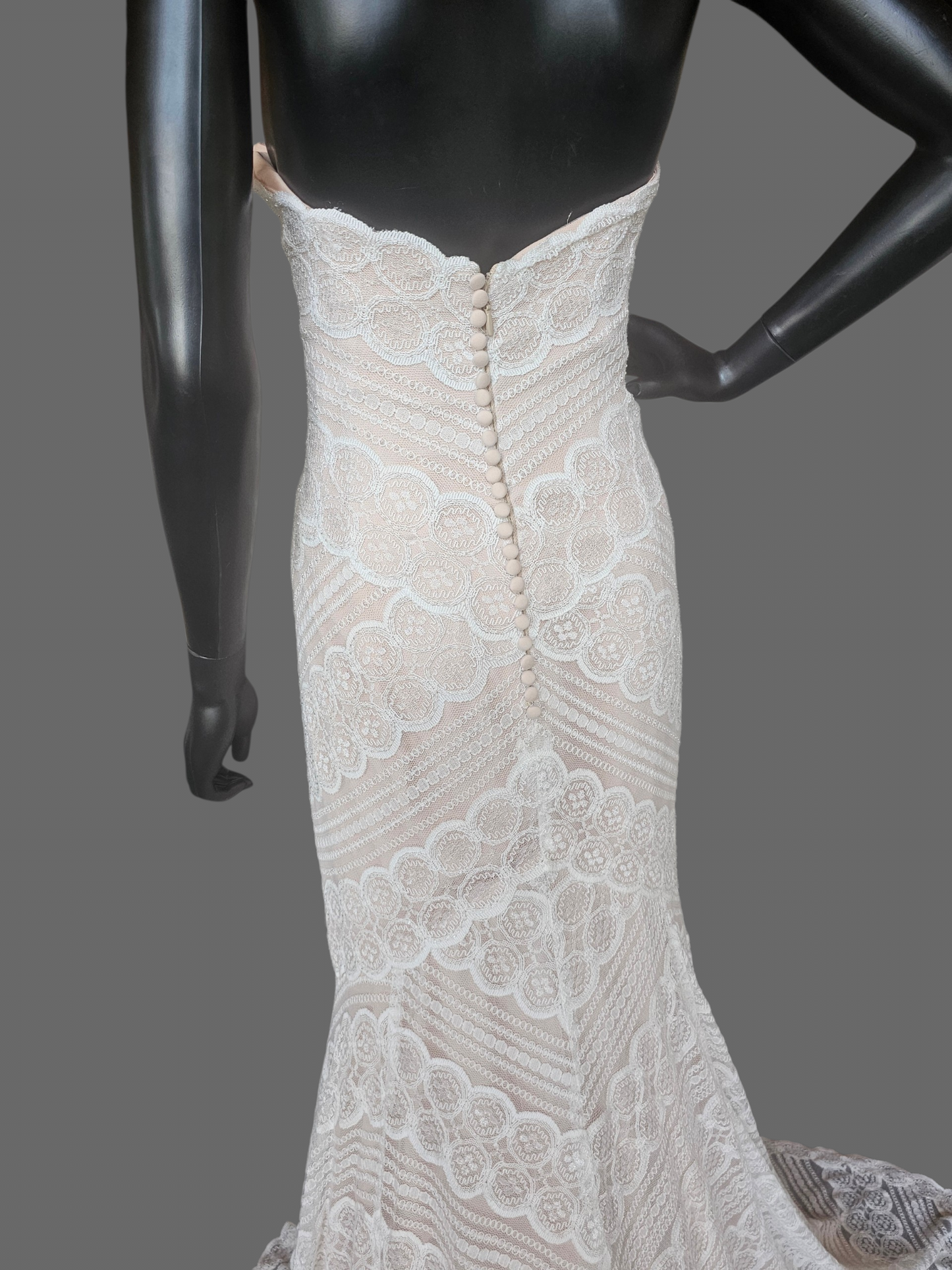 Iv/Rose Soft Lace Fit/Flare Wedding Gown - Davinci