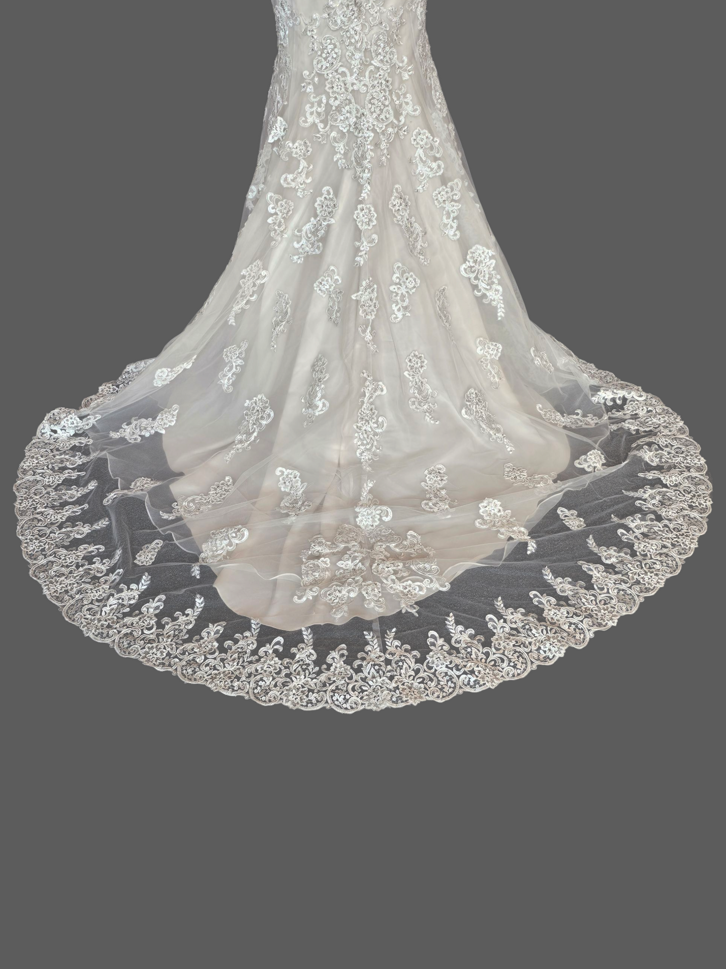 Ivory/Champagne Off Shoulder Fit and Flare Sparkle Illusion Wedding Gown