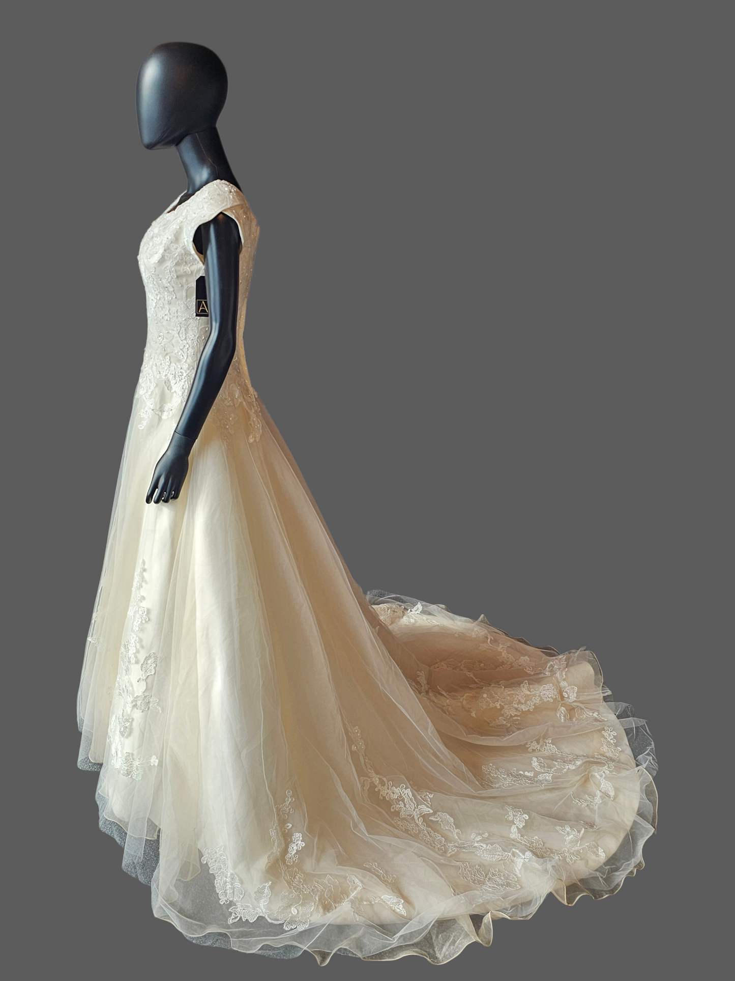 Champagne A-Line Cap Sleeve Floral Embroidered Wedding Gown - Bliss