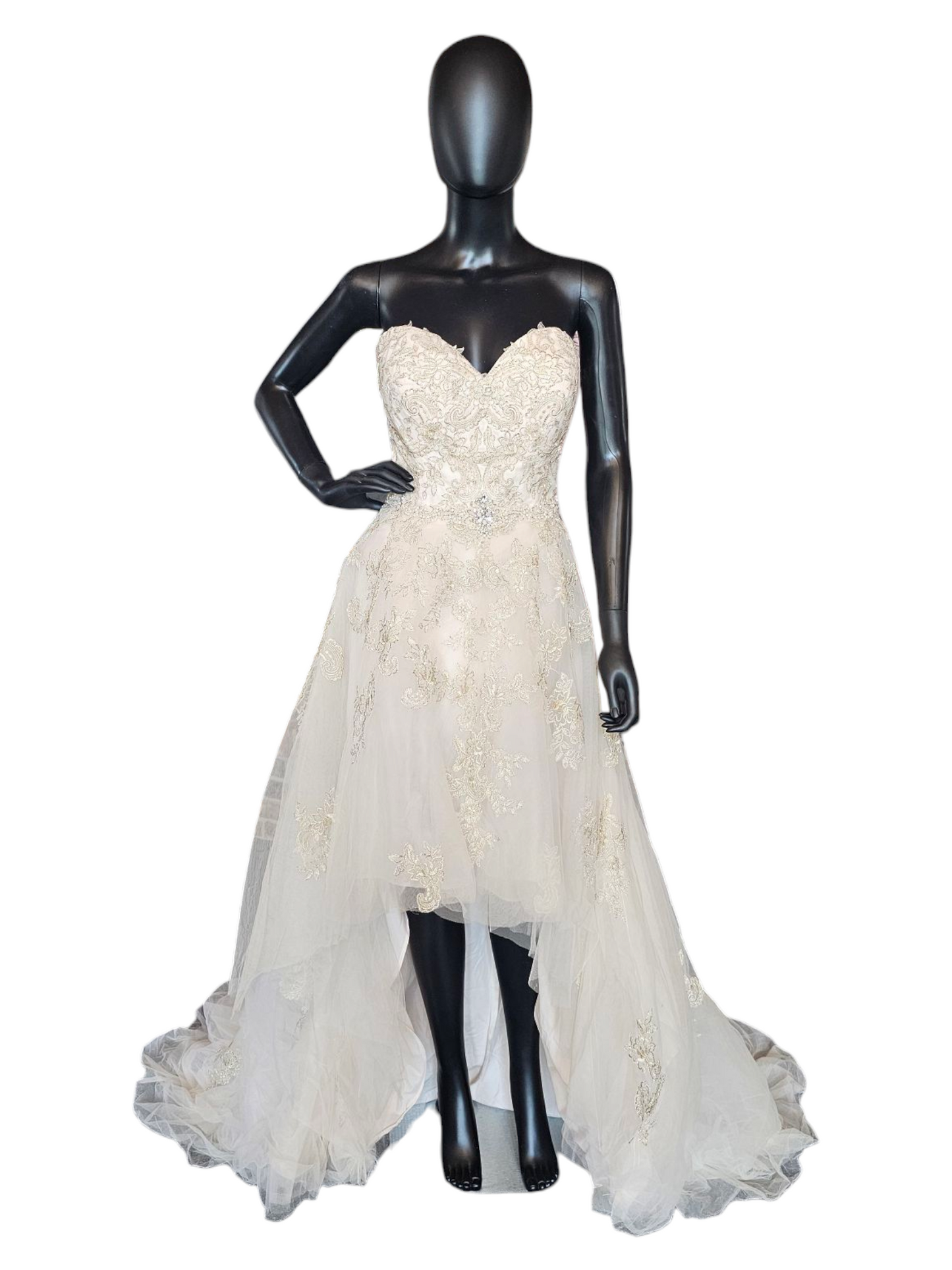 Champagne/Gold Embroidered High/Low Wedding Gown - Private Label by G