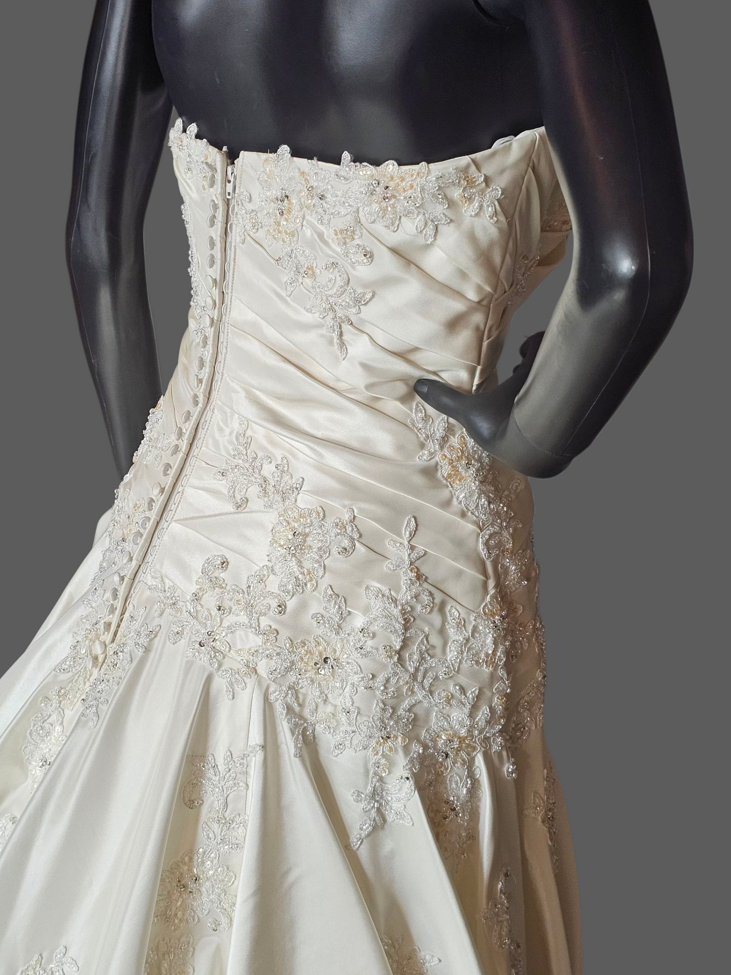 Ivory Taffeta Lace Embellish Wedding Gown - Blue