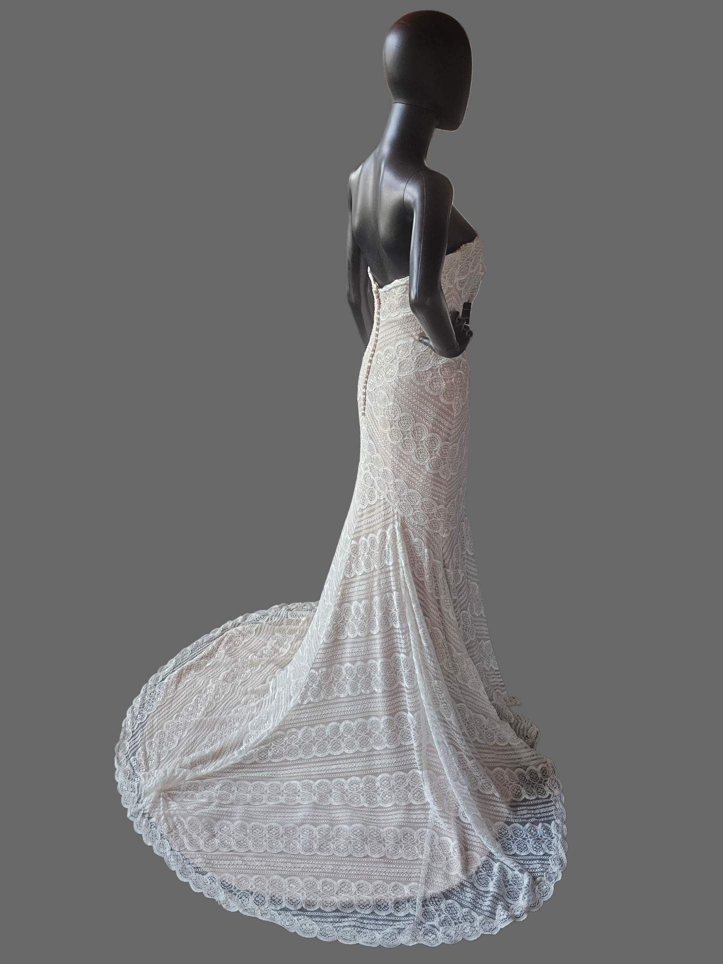 Iv/Rose Soft Lace Fit/Flare Wedding Gown - Davinci