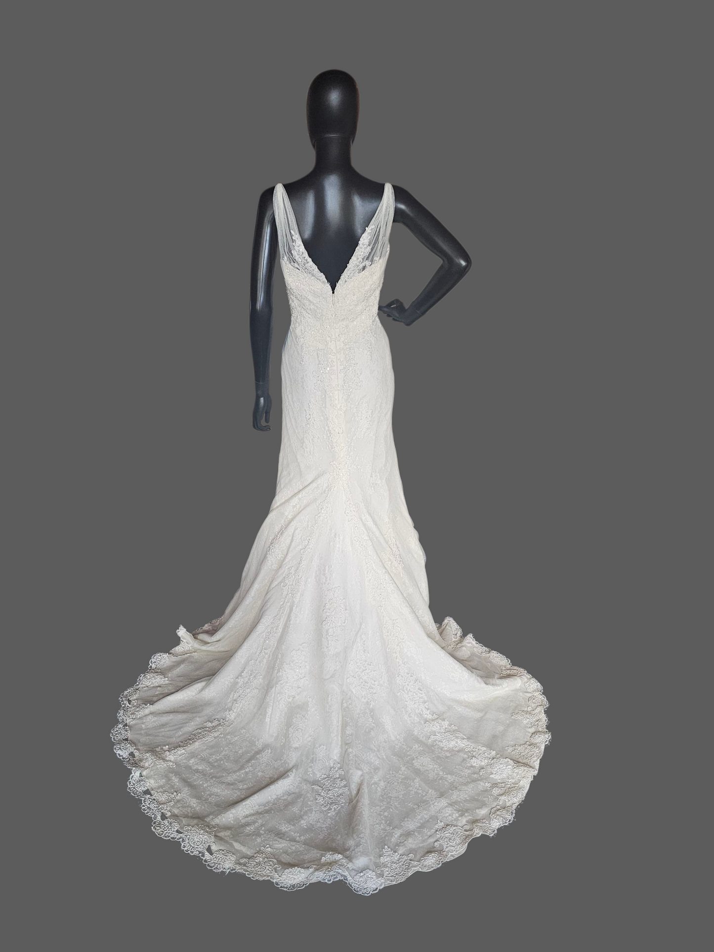 Dark Ivory Lace Fit/Flare V-Neck Wedding Gown - Pronovias