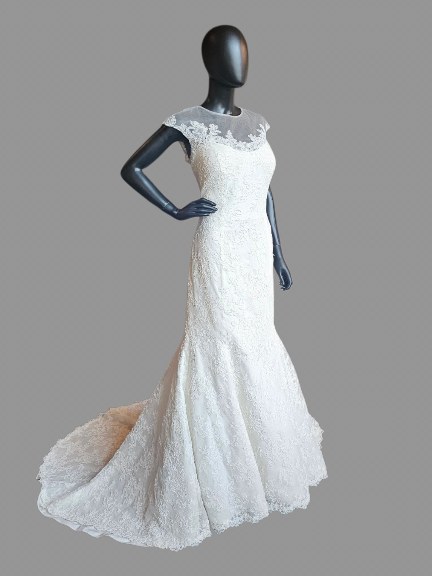 Ivory Lace Illusion Neckline - Da Vinci