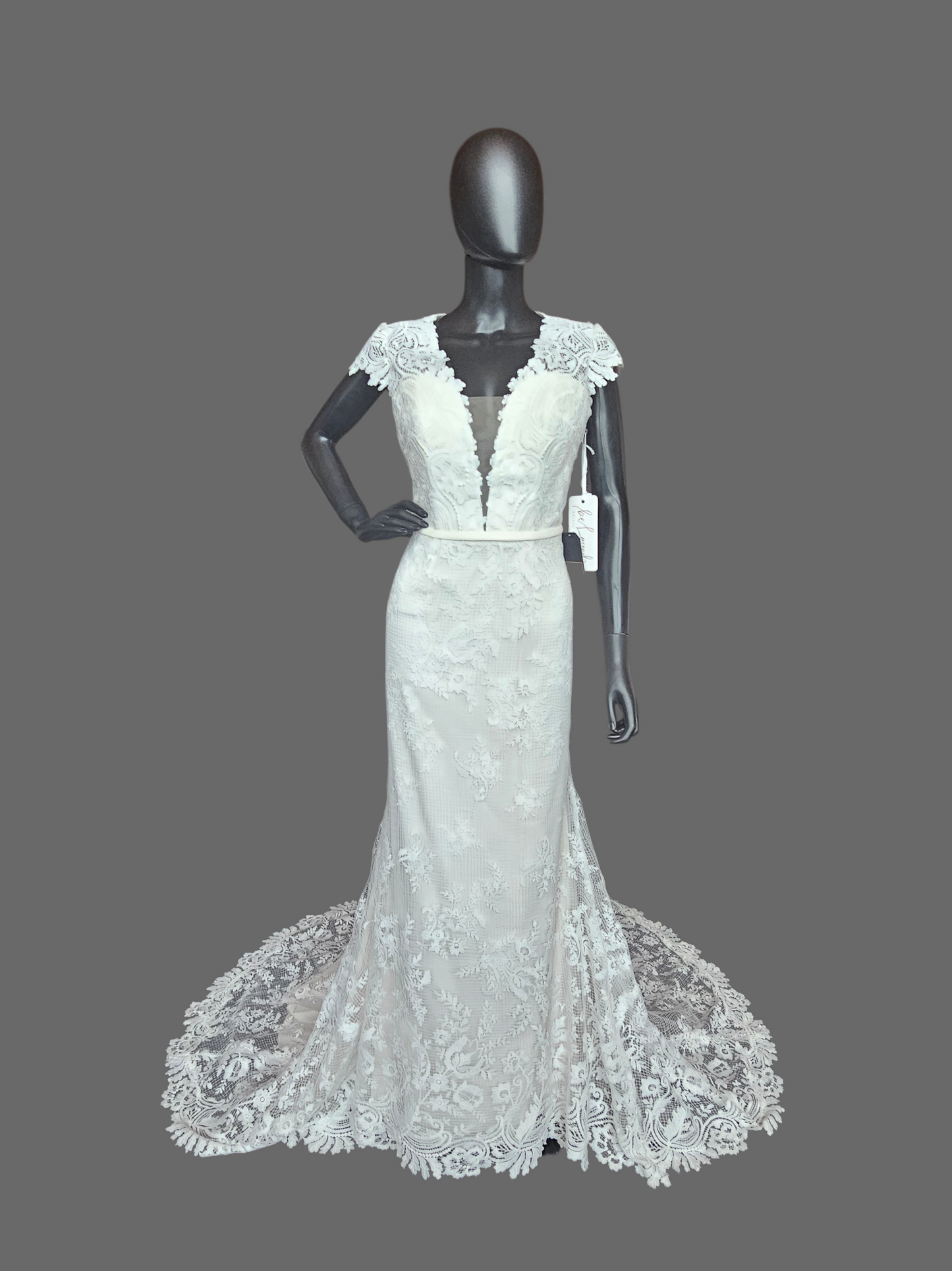 Ivory Open Weave Lace Cap Sleeve Open Open Back Wedding Gown - Beloved
