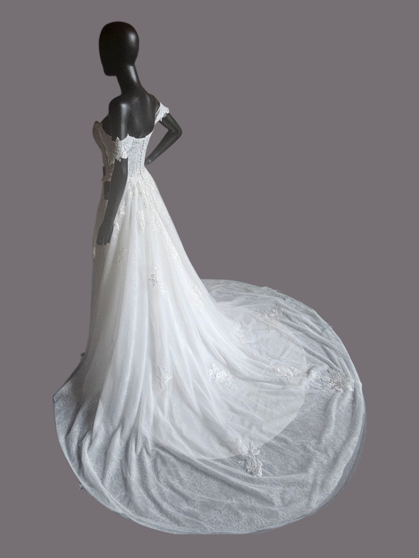 Ivory Lace Embroidered A-Line Shrug Sleeve Wedding Gown - Da Vinci