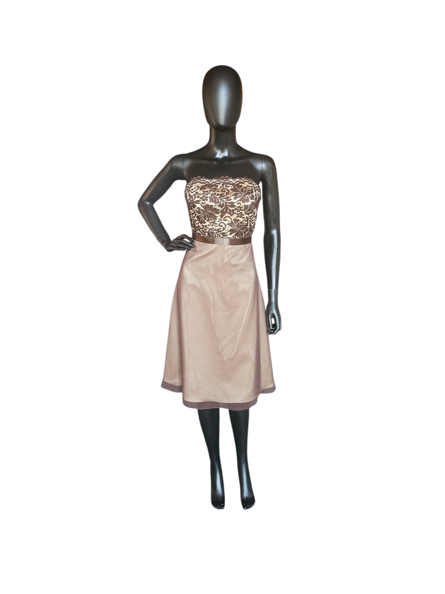 Chocolate/Gold Chiffon & Lace - Da Vinci