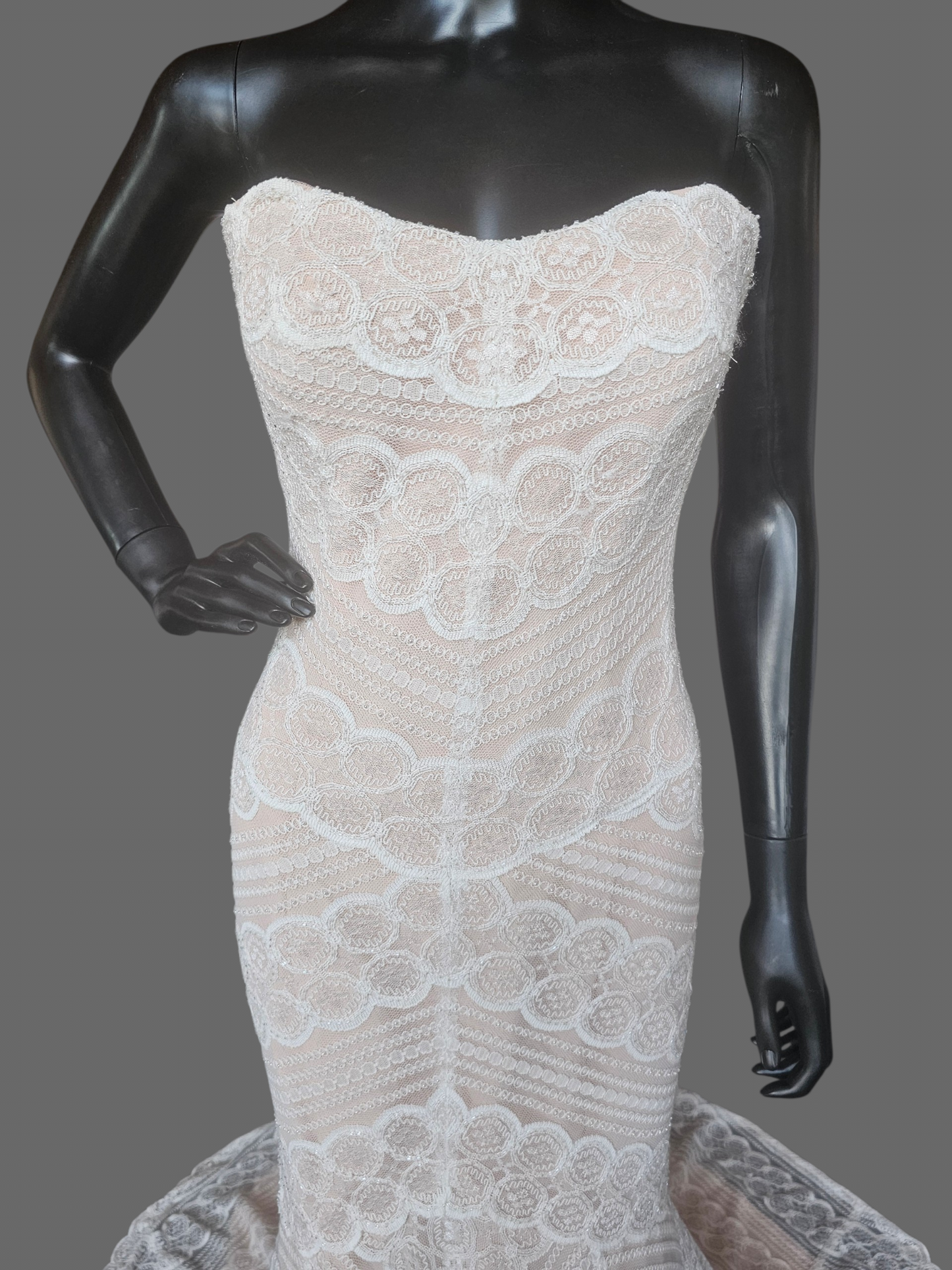 Iv/Rose Soft Lace Fit/Flare Wedding Gown - Davinci