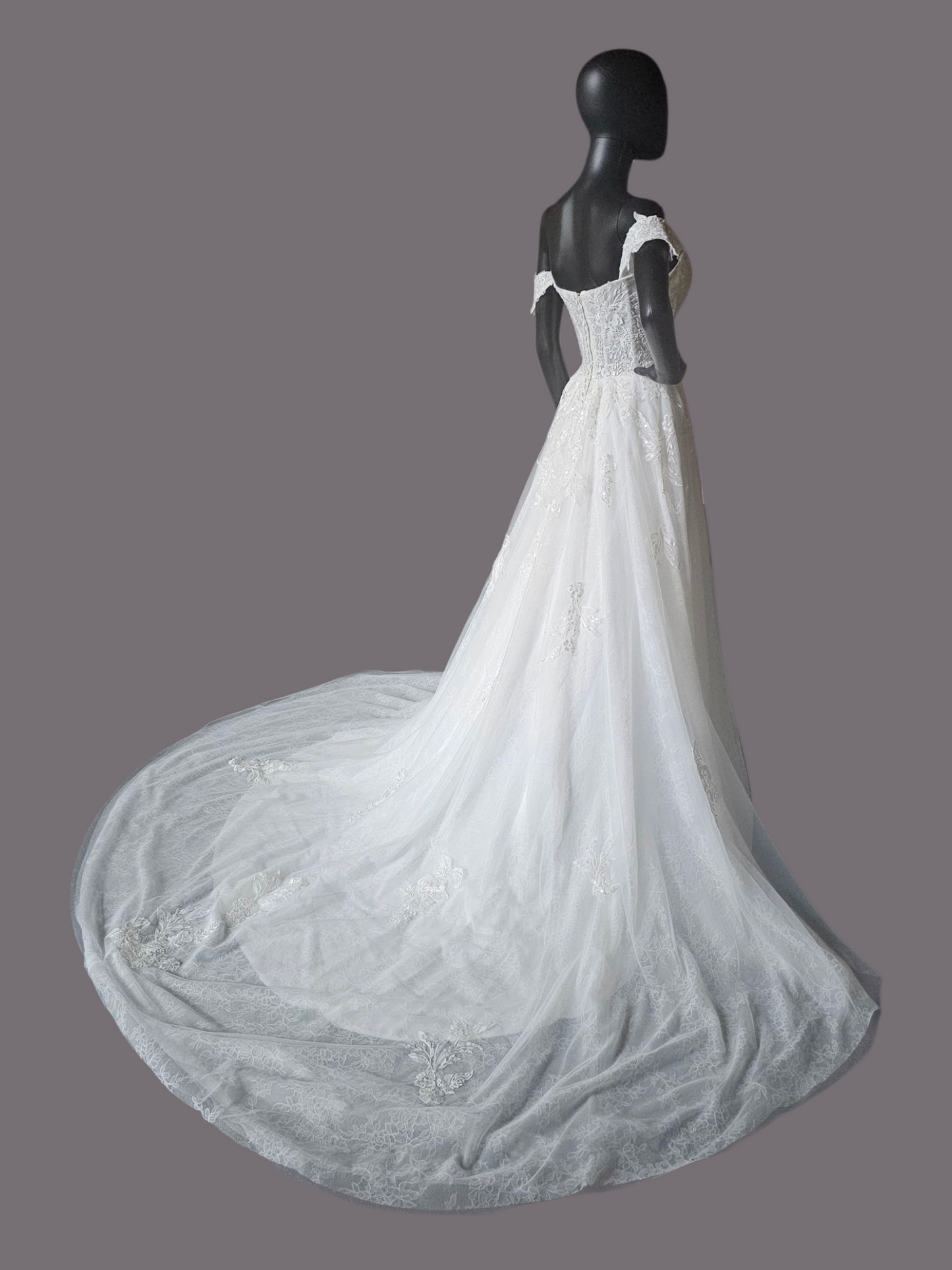 Ivory Lace Embroidered A-Line Shrug Sleeve Wedding Gown - Da Vinci