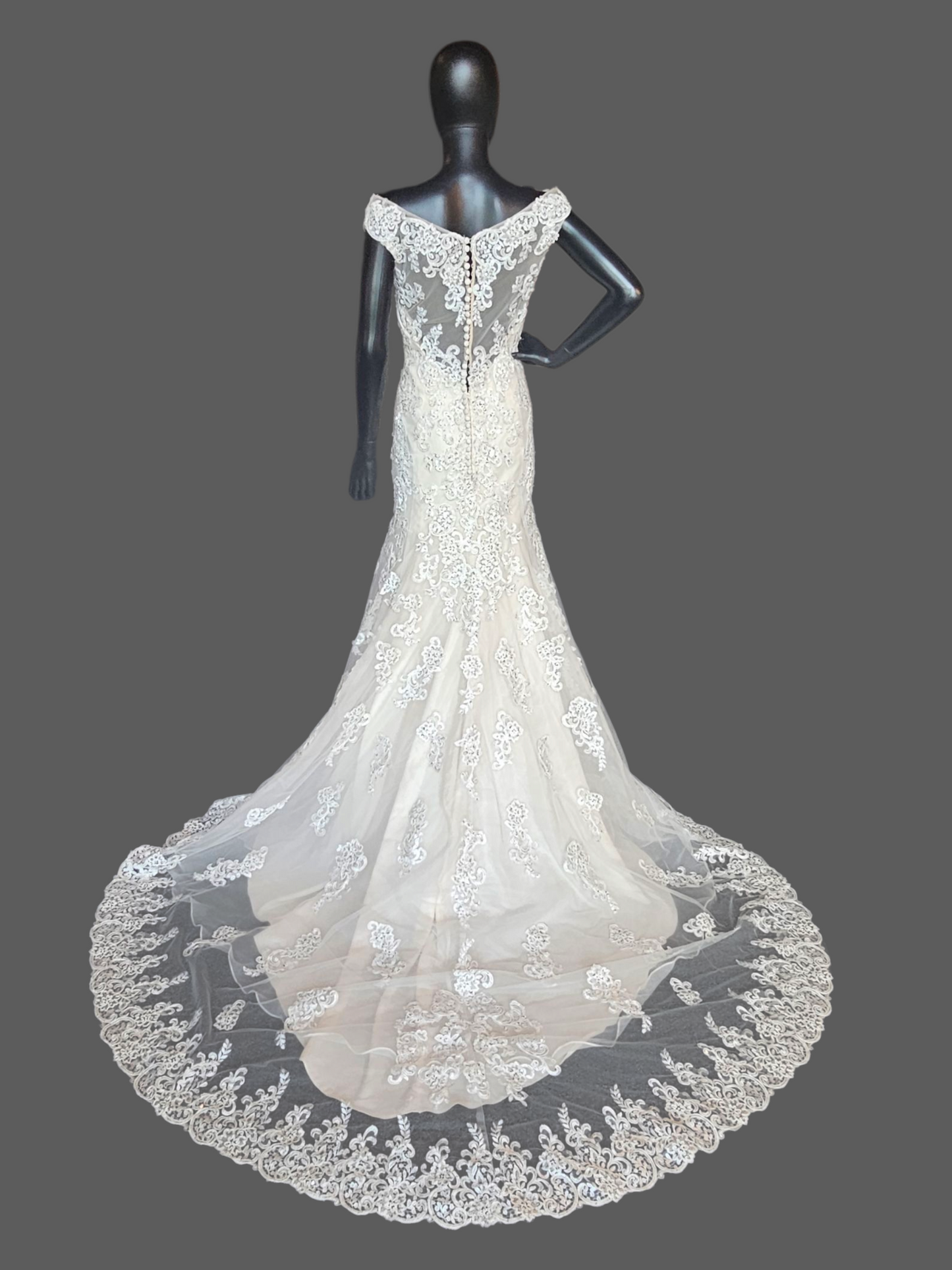 Ivory/Champagne Off Shoulder Fit and Flare Sparkle Illusion Wedding Gown