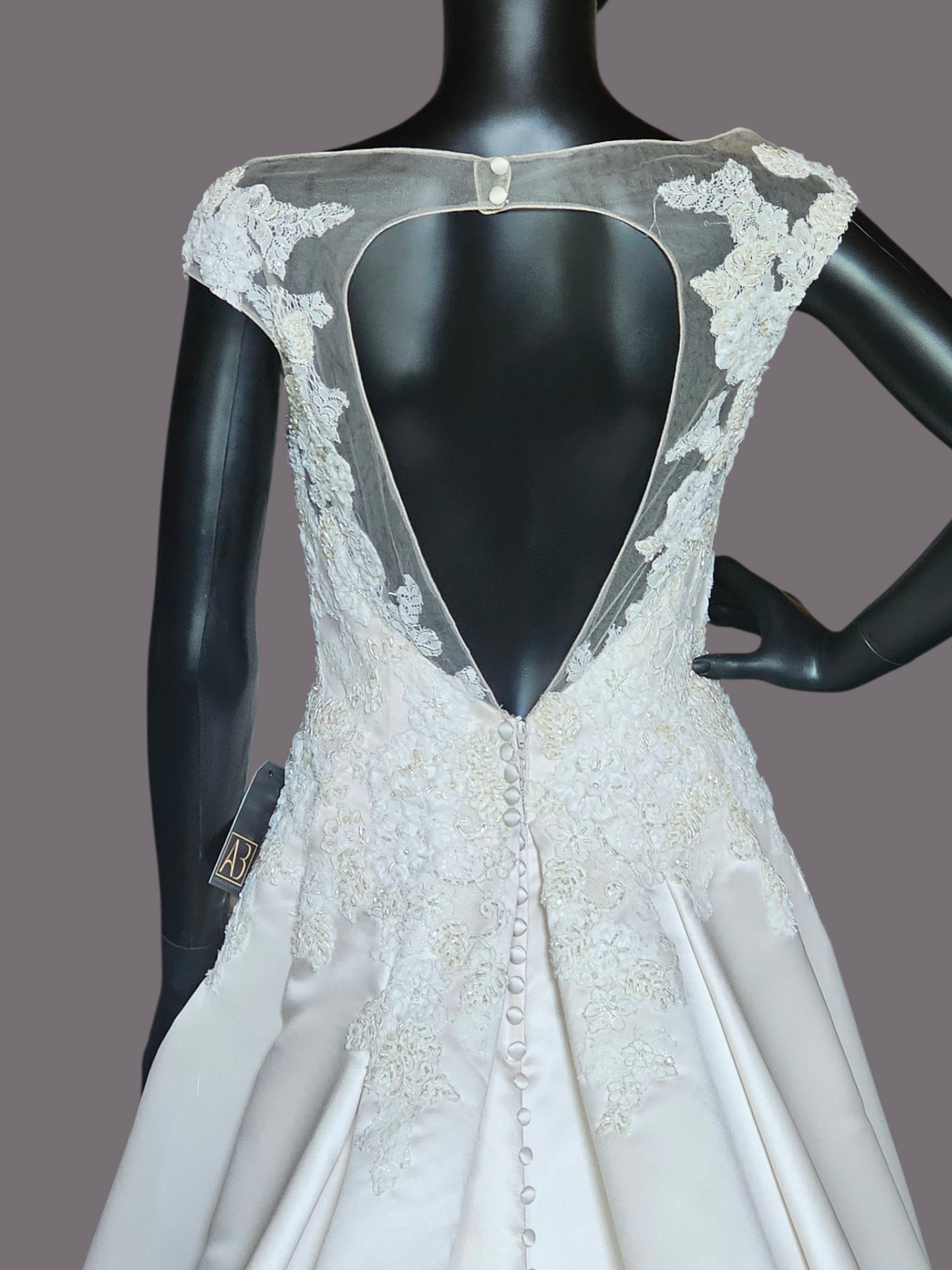 Champagne Satin Lace Illusion Plunge Bodice Open Back - Beloved