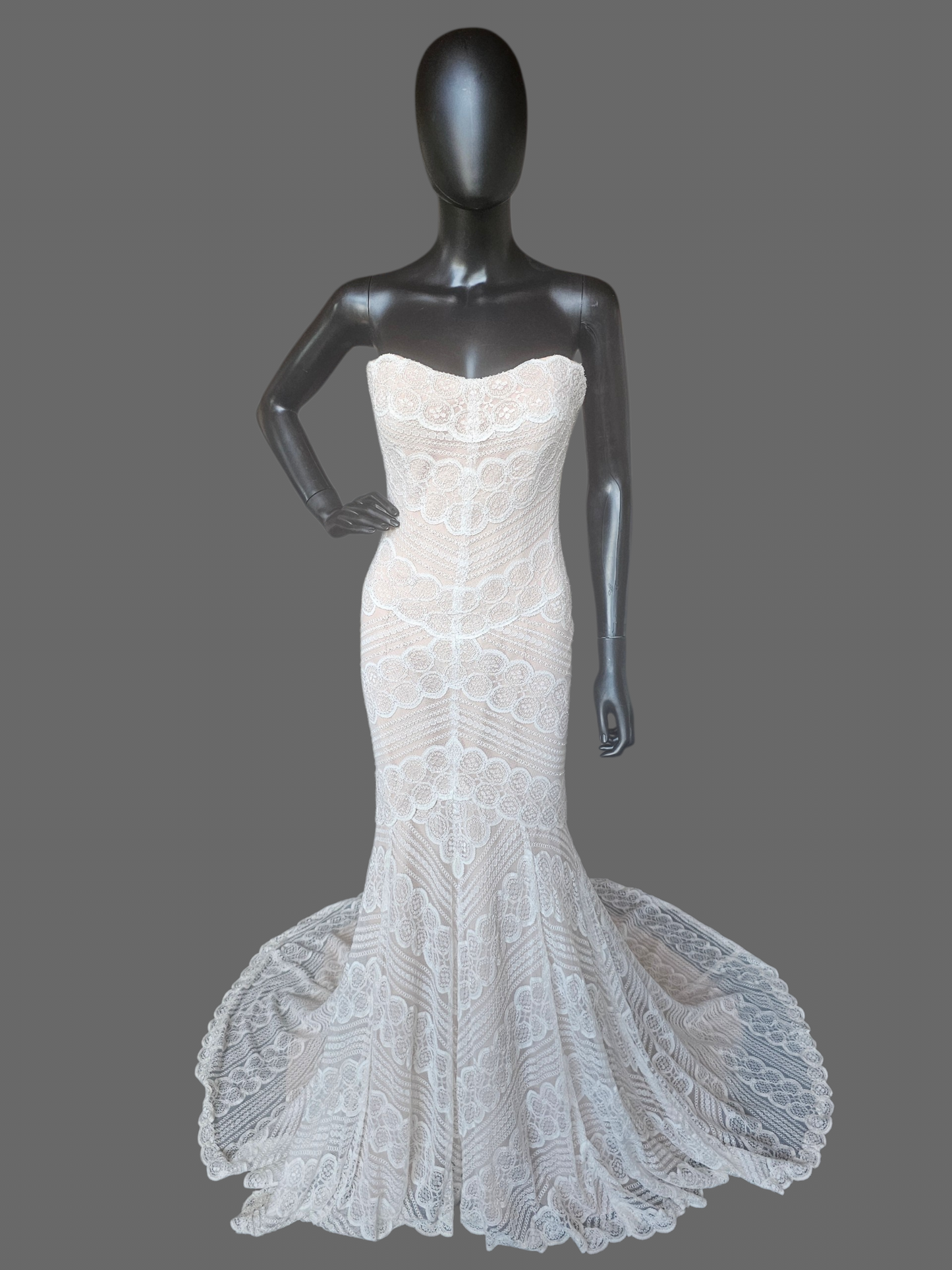 Iv/Rose Soft Lace Fit/Flare Wedding Gown - Davinci