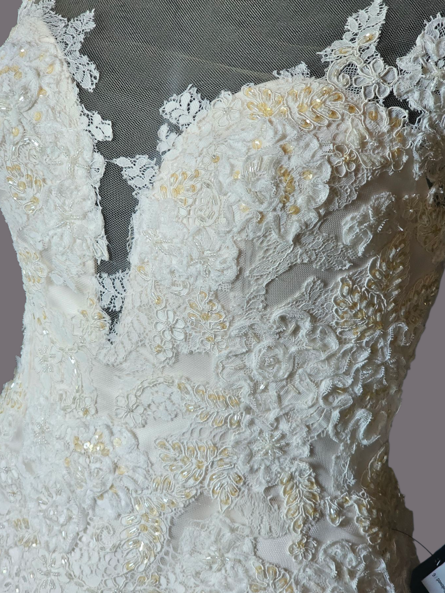 Champagne Satin Lace Illusion Plunge Bodice Open Back - Beloved