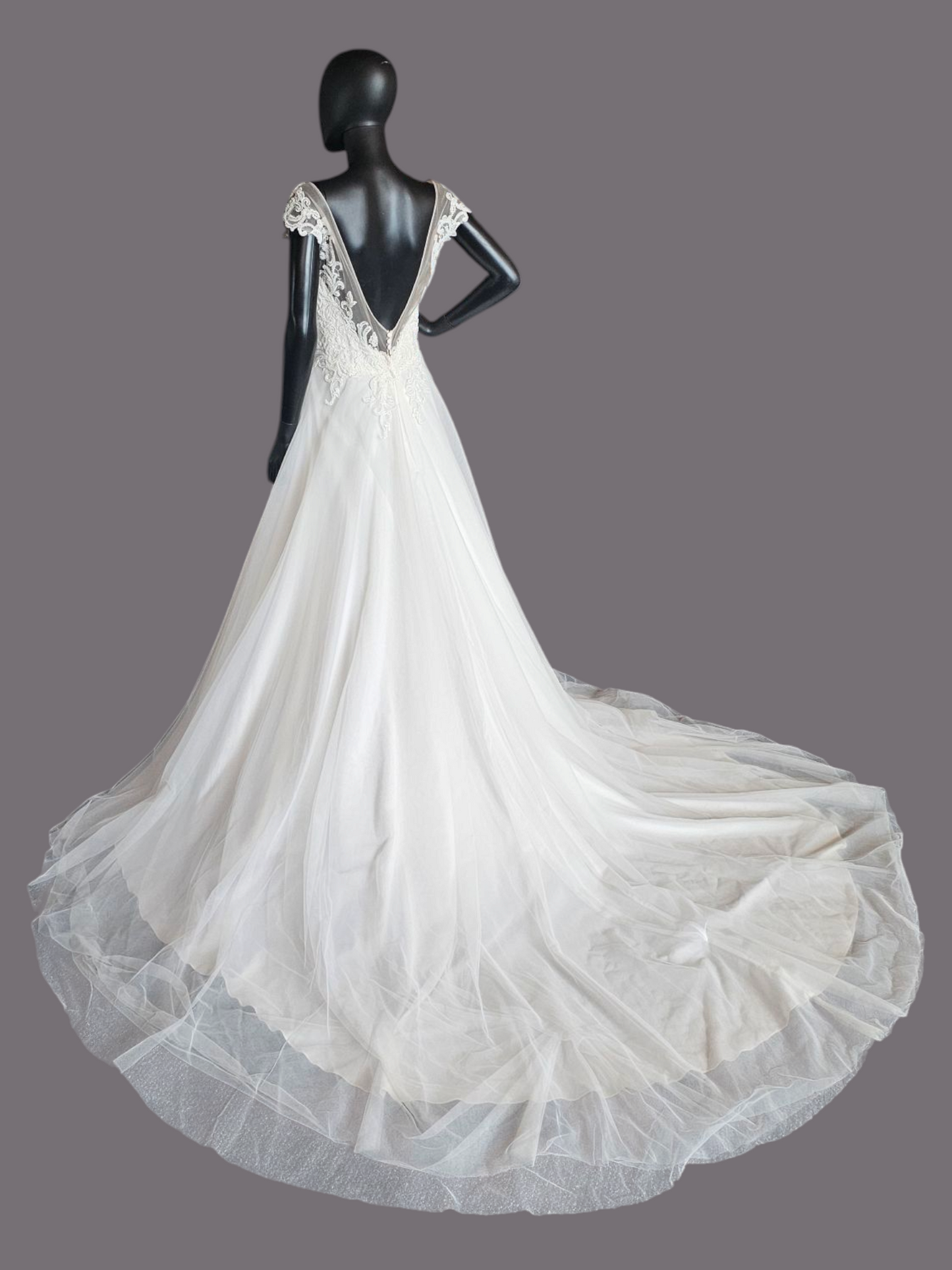 Ivory V-Neck Illusion Cap Sleeve A-Line Wedding Gown - Evelyn Bridal