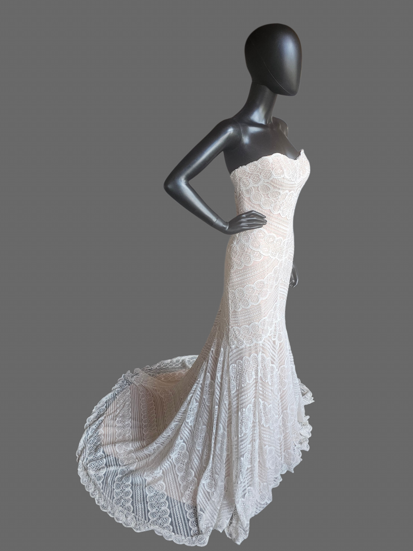 Iv/Rose Soft Lace Fit/Flare Wedding Gown - Davinci