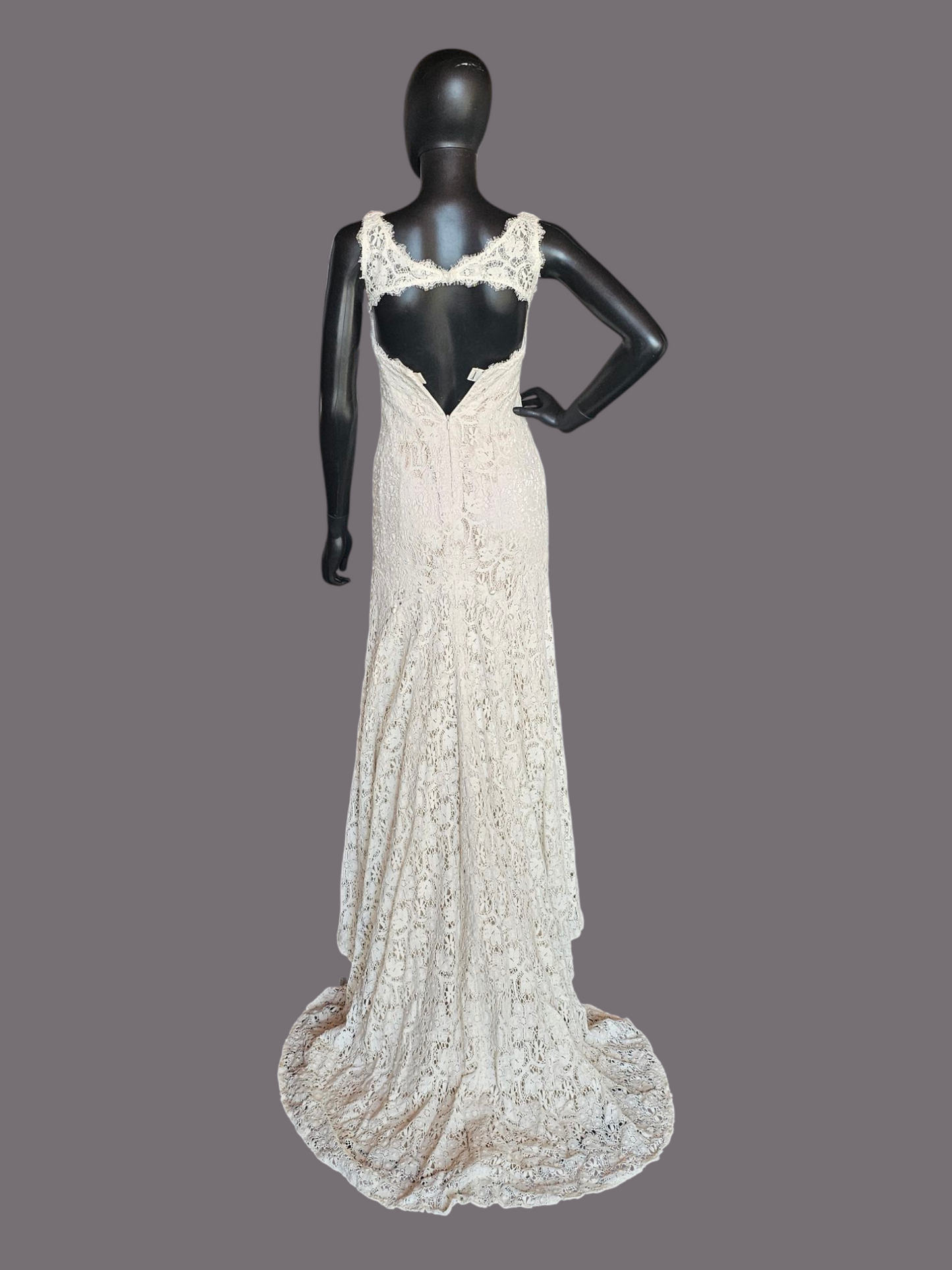 Cream Lace Over Nude Wedding Gown - Blush by JLM