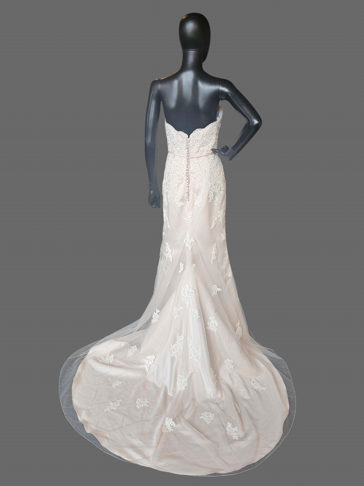 Rose/Iv Lace Belted Sweetheart Straight Wedding Gown - Private Label