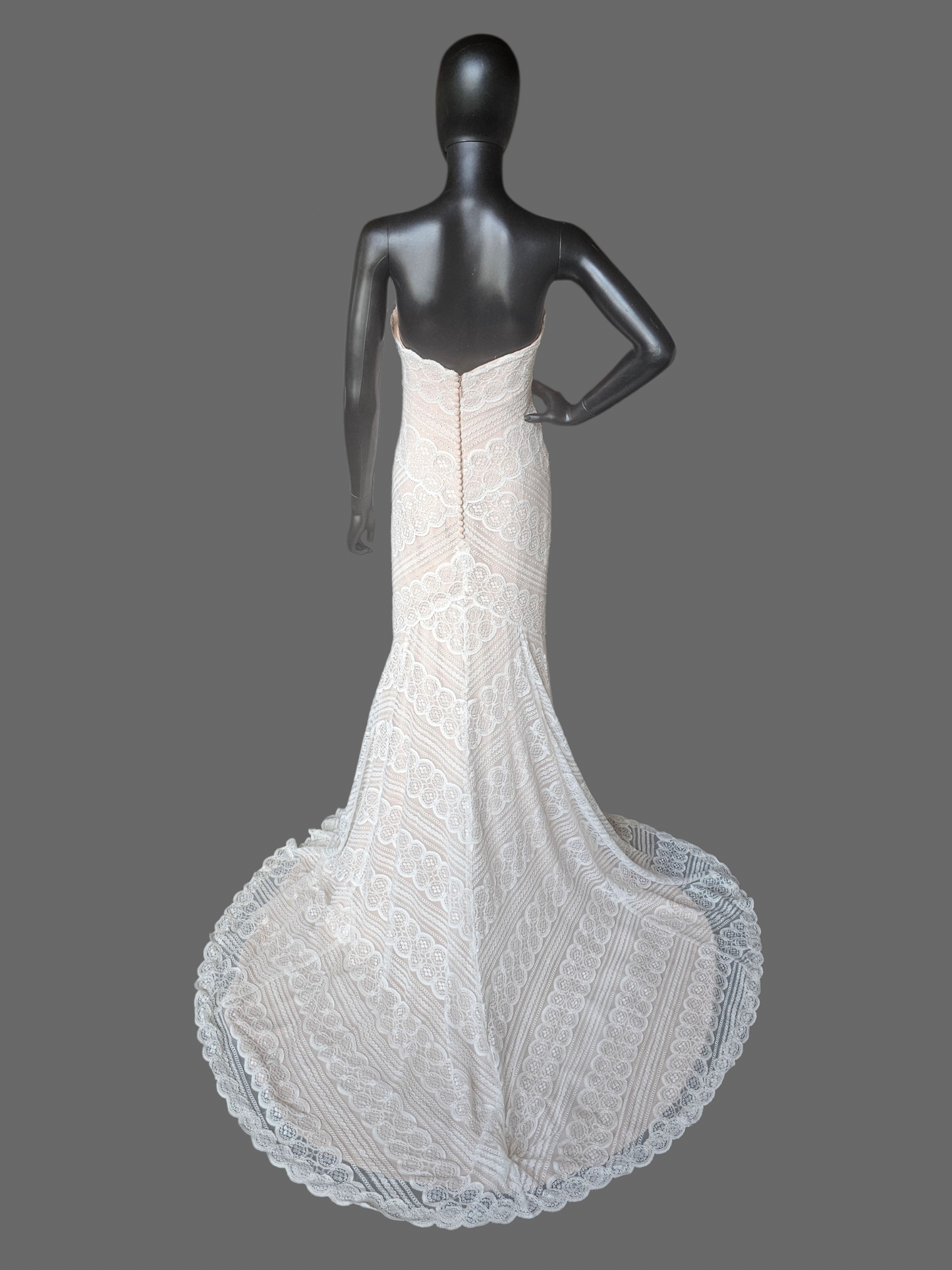 Iv/Rose Soft Lace Fit/Flare Wedding Gown - Davinci
