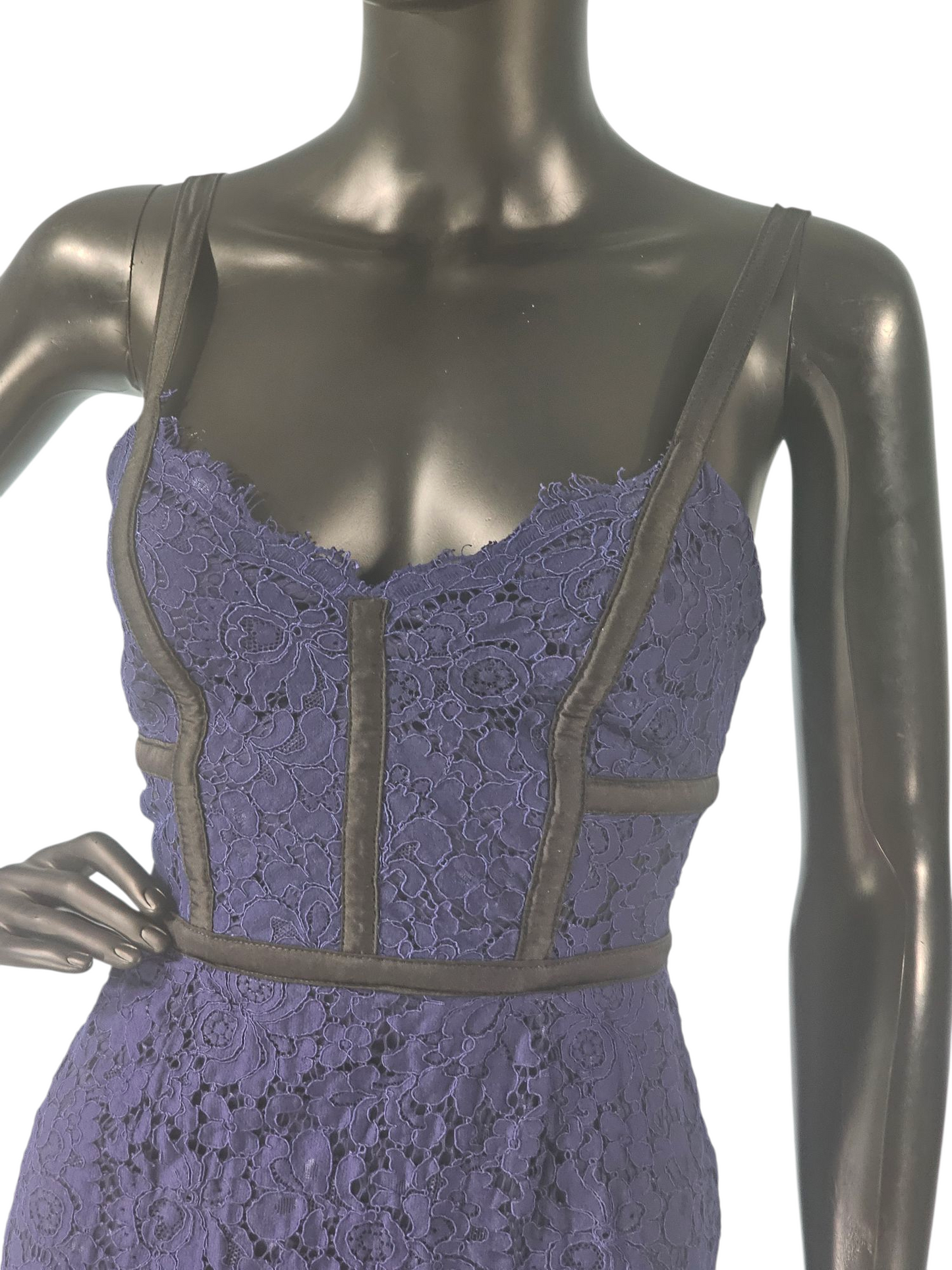 Blue Lace/Black Accent Sheath Dress - Express