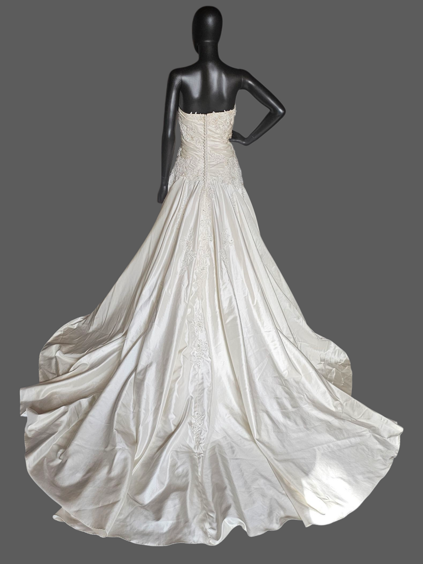 Ivory Taffeta Lace Embellish Wedding Gown - Blue