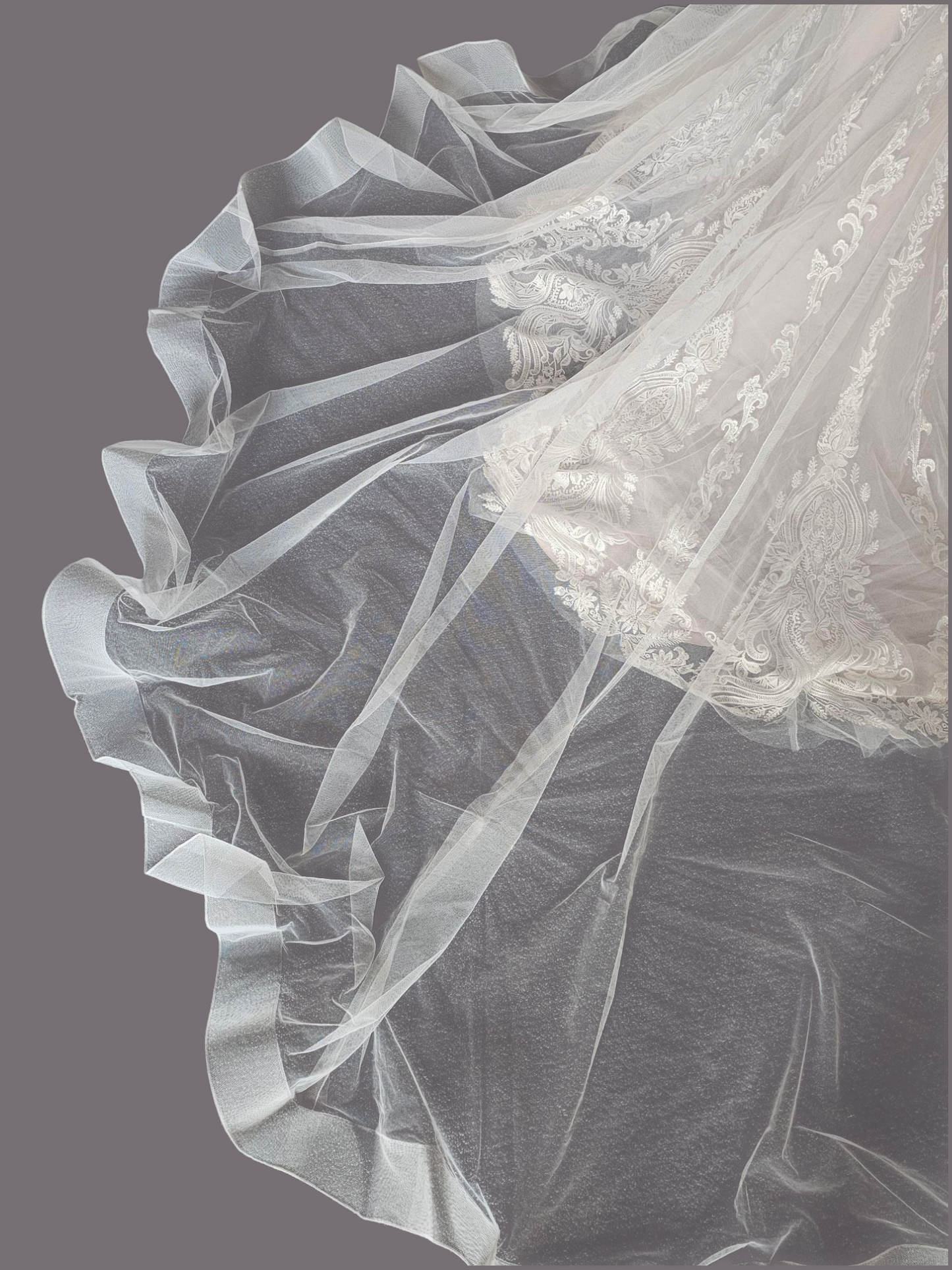 Ivory/Cappuccino Lace Applique Fit and Flare - Mori Lee