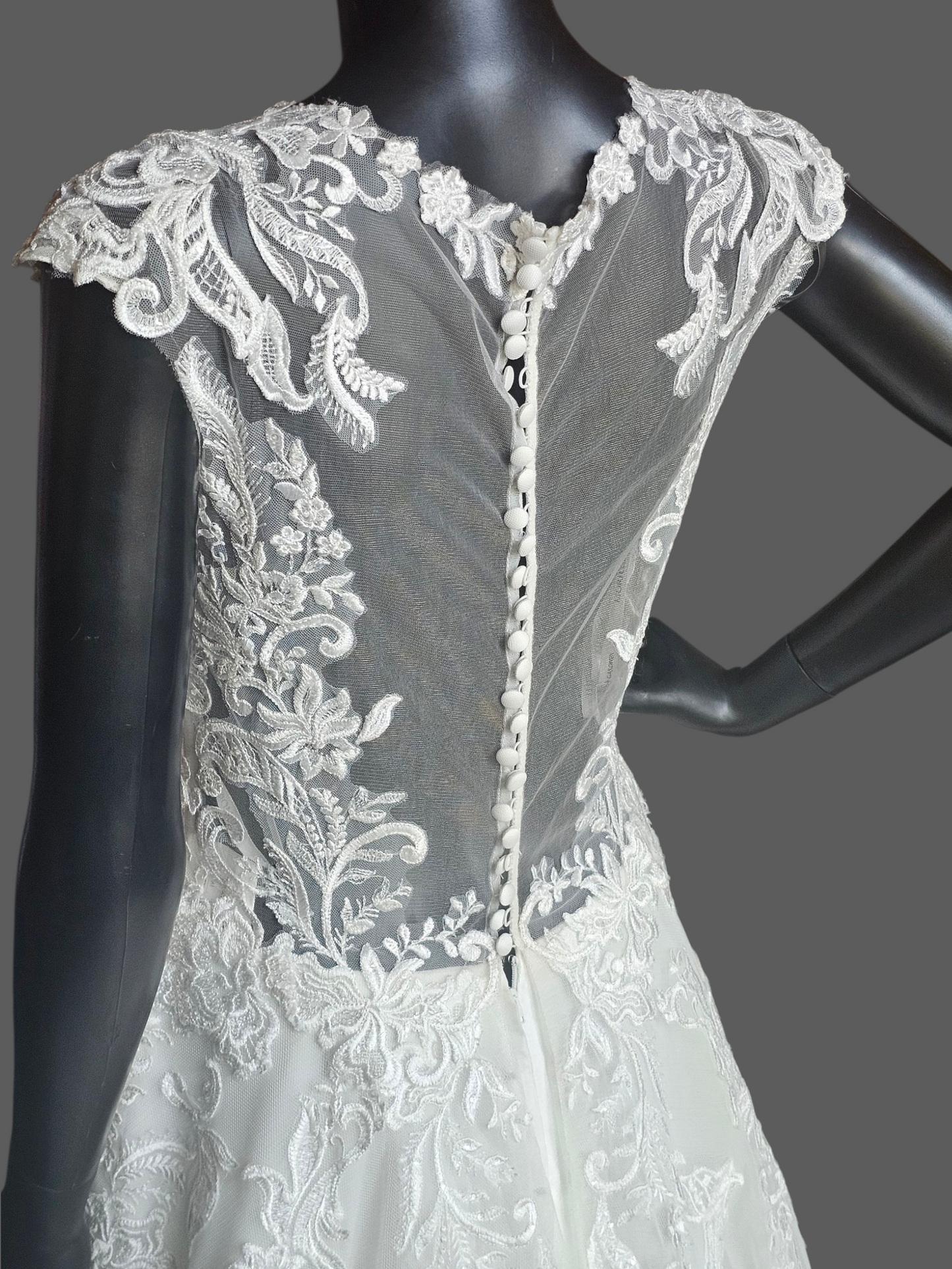 Ivory Illusion Cap Sleeve A-Line Net Wedding Gown - Mori Lee