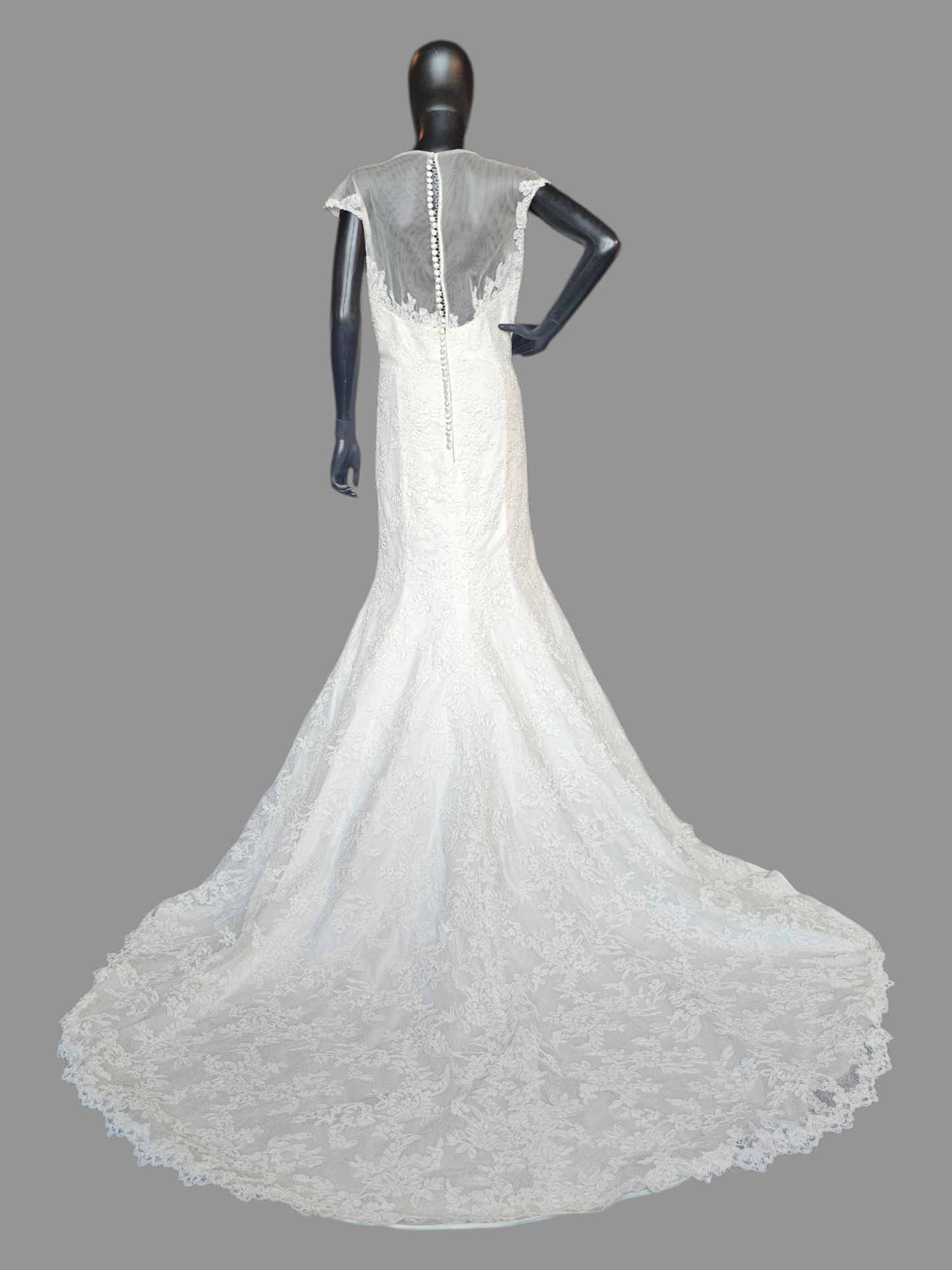 Ivory Lace Illusion Neckline - Da Vinci