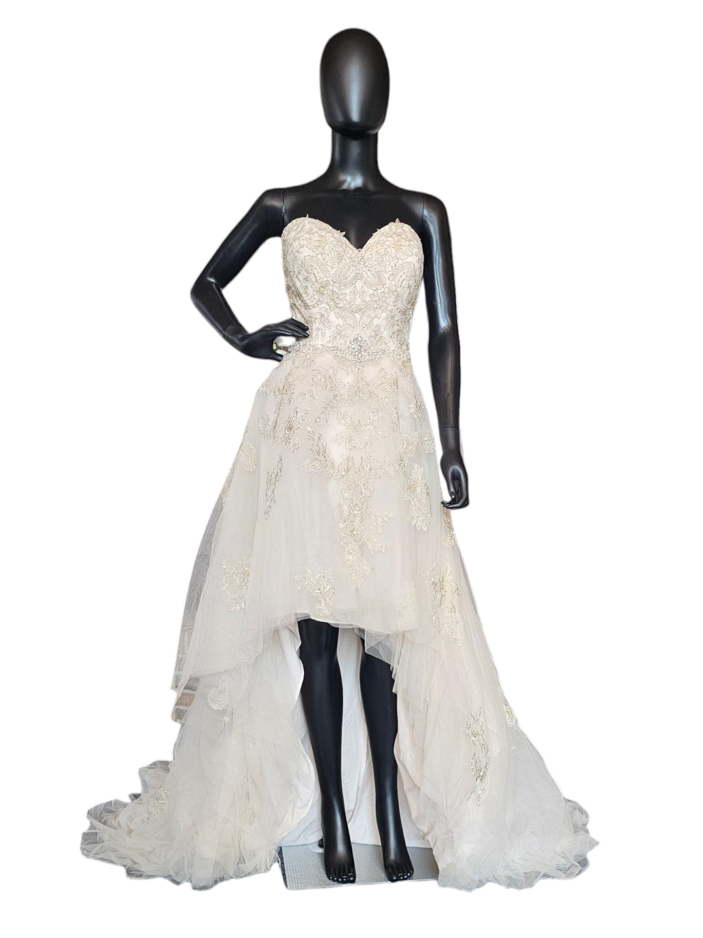 Champagne/Gold Embroidered High/Low Wedding Gown - Private Label by G