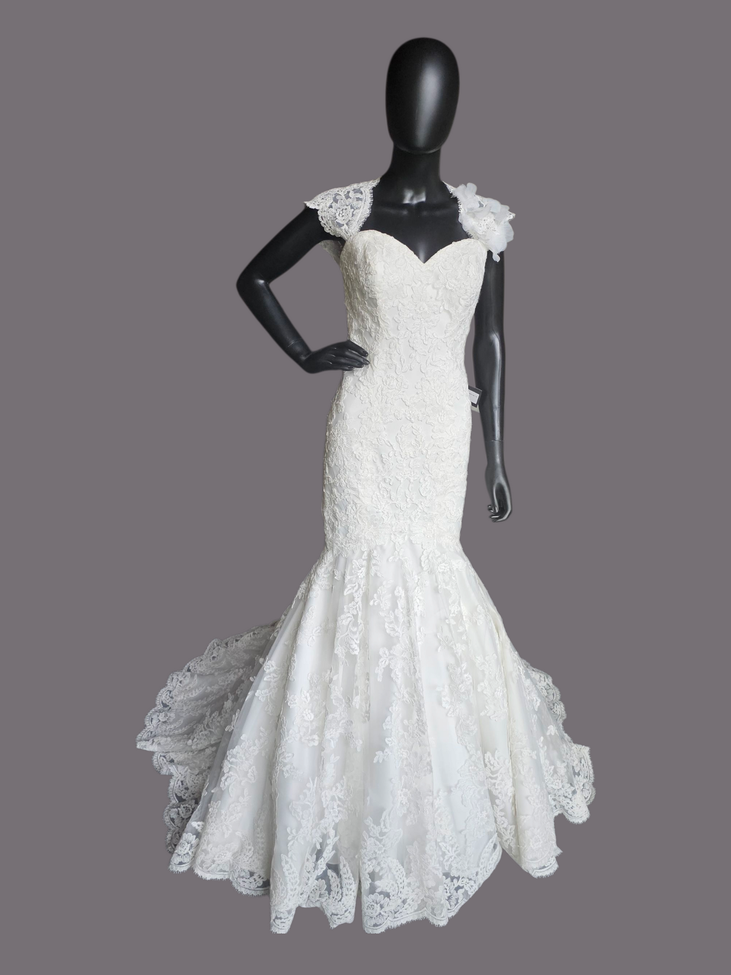 Ivory Full Lace Fit/Flare Wedding Gown - Mori Lee