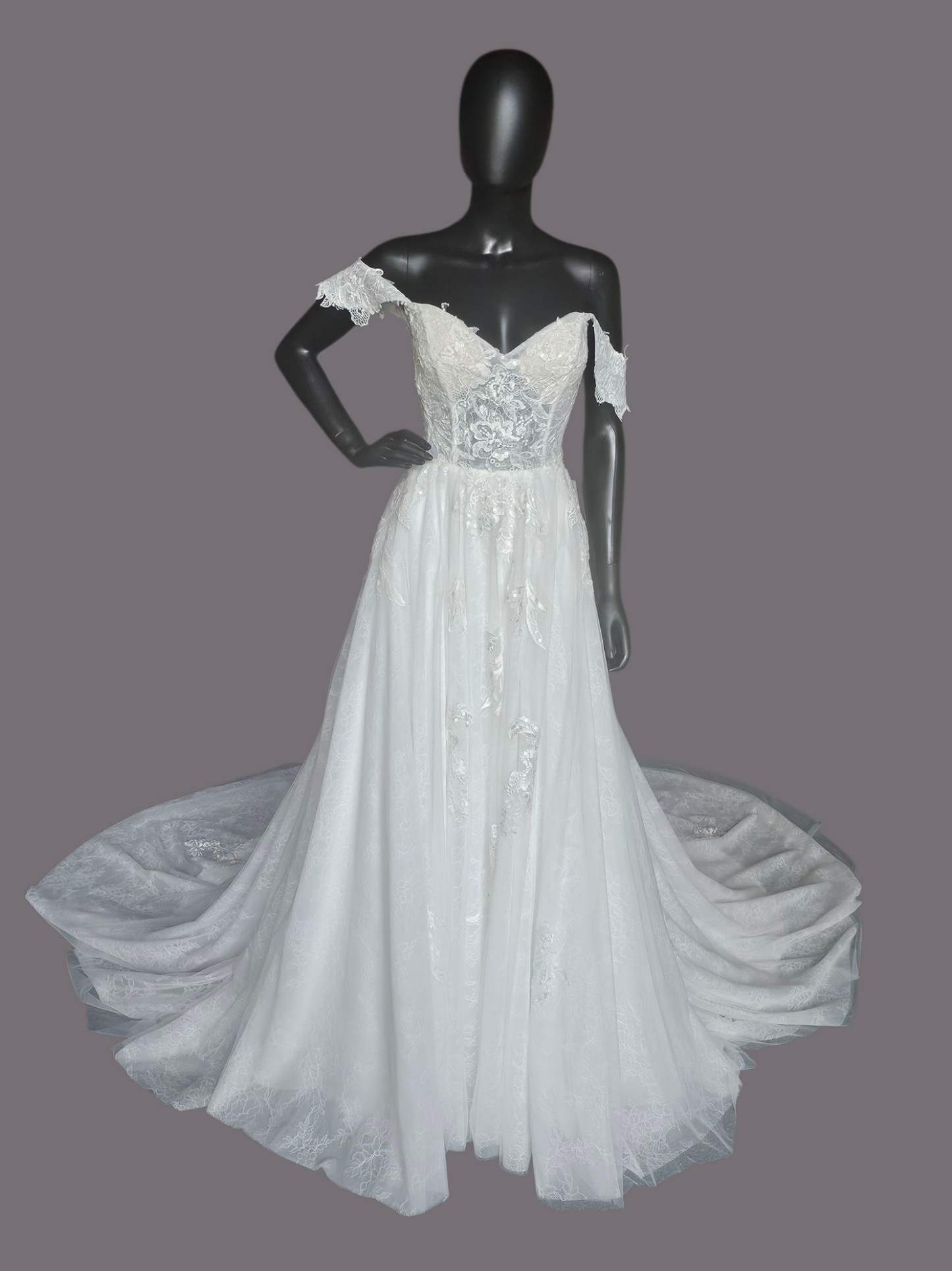 Ivory Lace Embroidered A-Line Shrug Sleeve Wedding Gown - Da Vinci