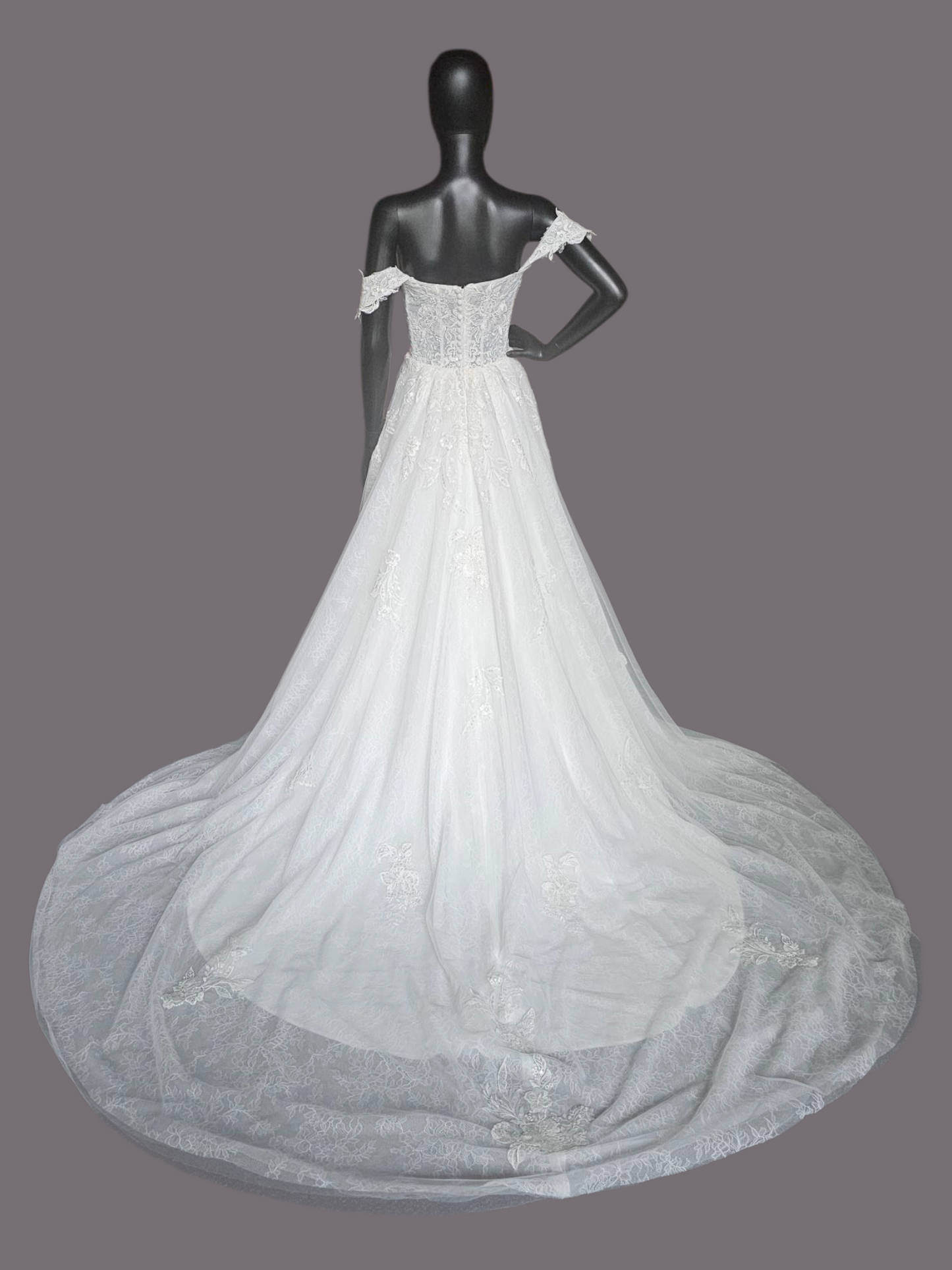 Ivory Lace Embroidered A-Line Shrug Sleeve Wedding Gown - Da Vinci