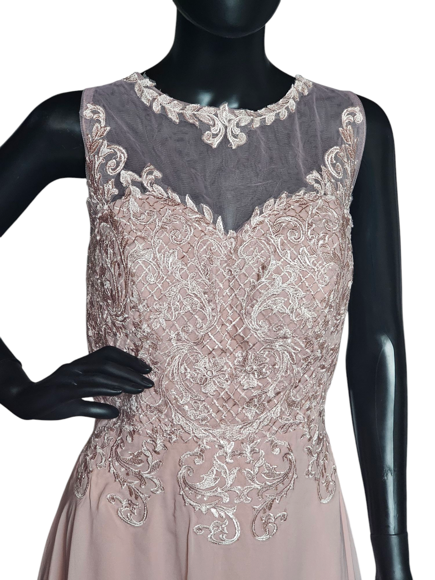 Soft Rose Illusion Bodice Embroidered - NWT