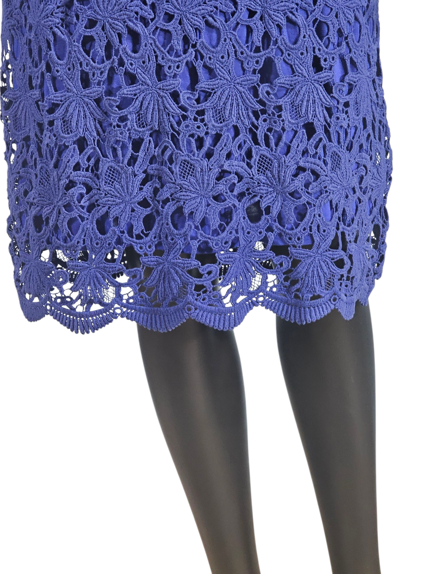 Royal Blue Cotton Lace Flutter Sleeve Mid Dress - NWT - Velvet by Graham & Spencer