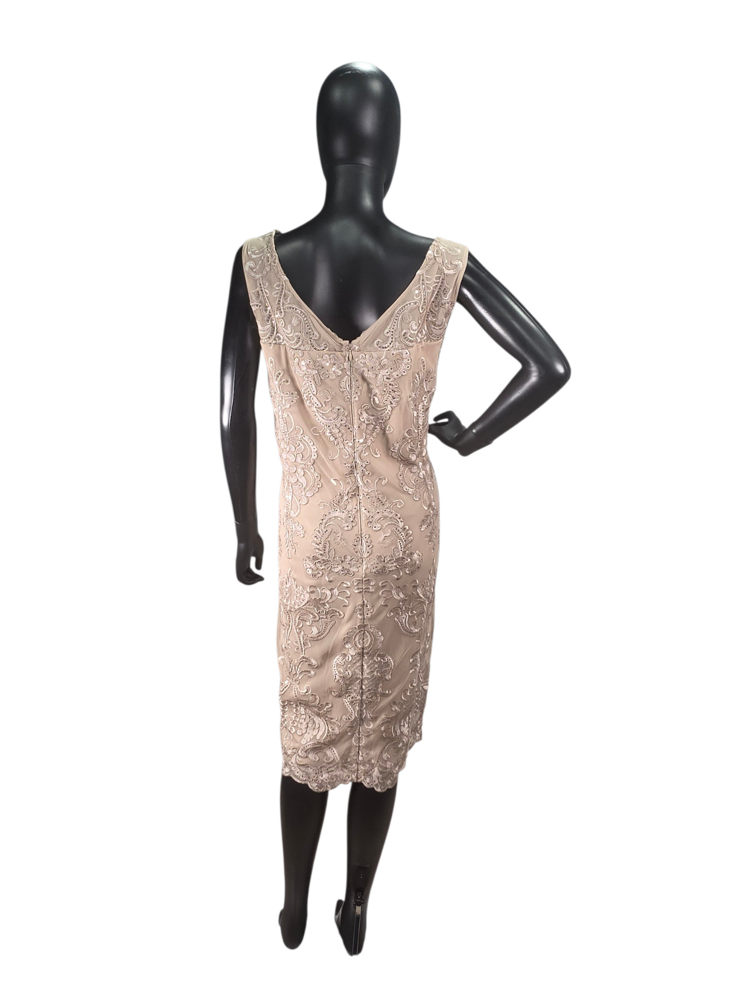 Champagne Knee Length Floral Sequin Design On Lace W/Chiffon Jacket Formal/Moms/Religious Occasion - R&M Richards